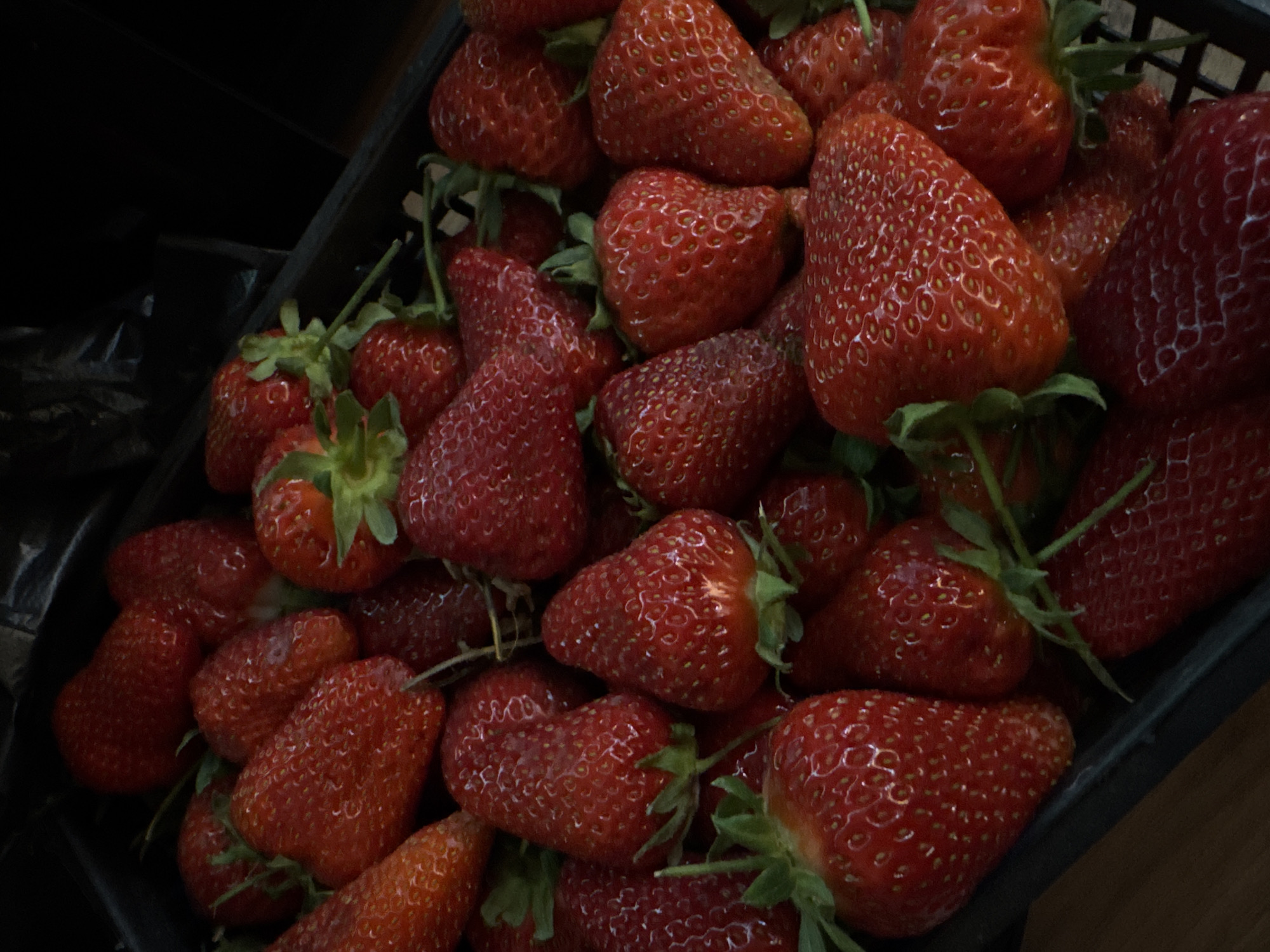 A top-down, eye-level shot features a black crate filled to the brim with ripe strawberries. The strawberries, predominantly red with visible seeds, are clustered together, with some green leafy stems visible. The crate is angled slightly in the frame, revealing dark, indistinct plastic bags on the left and a wooden surface on the right.