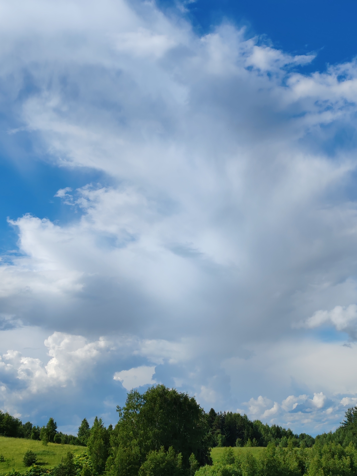This is a vertical, eye-level medium shot of a vast sky filled with dramatic clouds over a rolling green landscape and a dense forest. The upper half of the image is dominated by a brilliant blue sky, streaked with wispy, white clouds that are backlit by sunlight, creating luminous edges. Towards the center and right of the frame, larger, more textured cumulus clouds gather, some appearing gray and heavy with potential rain, while others are bright white.
The lower portion of the image showcases a lush green hillside, dotted with various trees and vegetation. The most prominent feature in the foreground is a large, leafy green tree in the center, its branches spreading wide. Behind this, a dense, dark green forest stretches across the horizon, with a patch of brighter green field visible to the left. The trees on the right edge of the frame are taller and more mature than those on the left.
The overall impression is one of natural beauty and a dynamic weather system. The contrast between the bright blue sky and the gathering clouds suggests a changeable day, possibly transitioning from clear weather to a rain shower. The scene evokes a sense of vastness and the untamed beauty of nature. The time of day appears to be daytime, given the bright sunlight illuminating the clouds and landscape. There are no people, objects, or text visible in the image. The location context provided is Чухлэм, Russia.