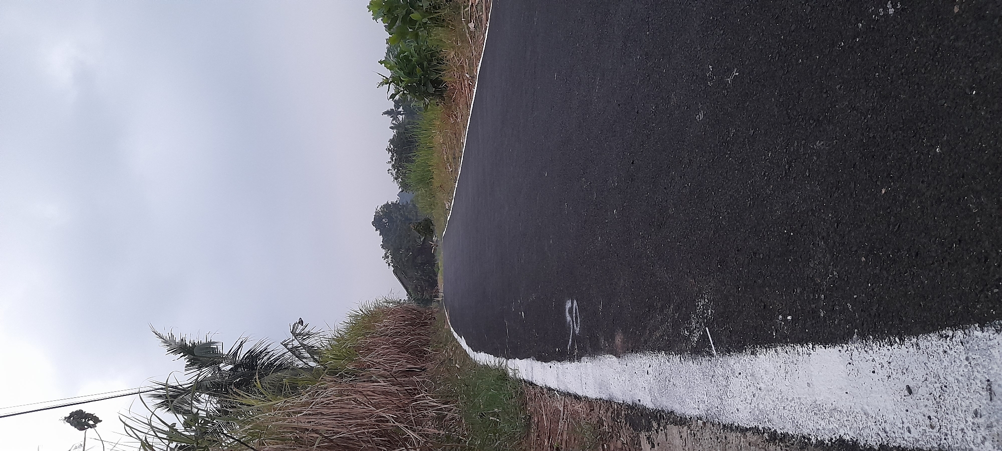 The image depicts a paved road with a white line marking its edge, curving to the left. The road surface is dark asphalt, appearing freshly laid and in good condition. On the left side of the road, tall, dry grass and some palm fronds are visible, creating a dense border. In the distance, trees and vegetation form a natural landscape. The sky is overcast with grey clouds, suggesting a diffused light condition. A portion of a utility pole with hanging wires is visible in the upper left quadrant of the image. The overall scene suggests a rural or semi-rural setting, likely in an area with a tropical climate given the presence of palm trees. This location is identified as being in Dawe, Indonesia.