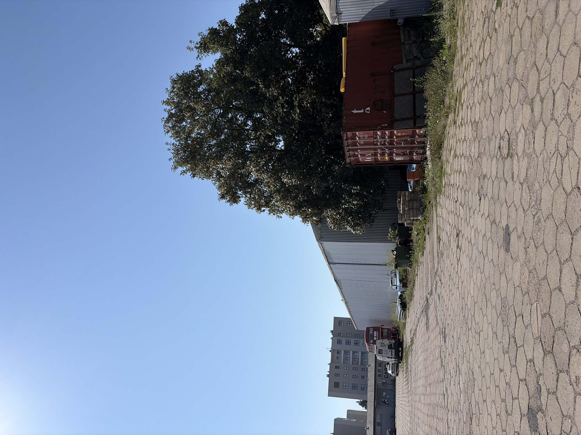 The image depicts an outdoor scene on a sunny day in Poznan, Poland. In the foreground, a large expanse of hexagonal concrete paving stones covers the ground, showing signs of wear and some vegetation growing between them. To the left, a multi-story apartment building with a light-colored facade and numerous windows is visible. Further to the left, another, taller apartment building with a similar design can be seen.
In the middle ground, a long, corrugated metal building stretches horizontally across the frame. In front of this building, a red double-decker bus and a white van are parked. Several other vehicles, including cars and a pickup truck, are also present. A large, dark green tree with dense foliage dominates the right side of the frame, partially obscuring a red shipping container. The container has visible markings and appears to be a storage unit. The sky is a clear, vibrant blue. The scene appears to be a utilitarian area, possibly a parking lot or storage yard associated with nearby buildings.