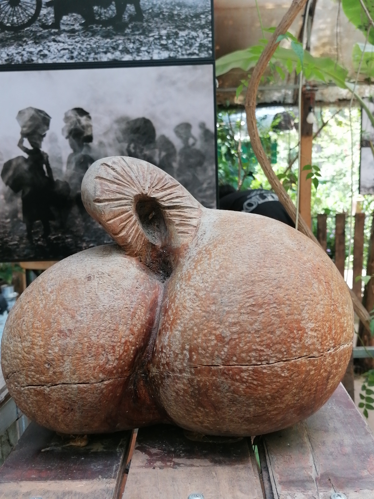 An outdoor shot, likely in Da Lat, Vietnam, presents a wooden sculpture of a pair of rounded shapes resembling buttocks, placed on a rustic wooden surface. The sculpture has a textured, rough surface and features a circular opening with carved lines radiating outwards on an upper, curved protrusion. Behind the sculpture, a black and white photograph is partially visible, depicting silhouetted figures carrying objects on their heads, suggesting a possible historical or cultural theme. The background is blurred, showing lush greenery and a wooden fence, indicative of a garden or outdoor setting. The overall lighting is natural and diffused.