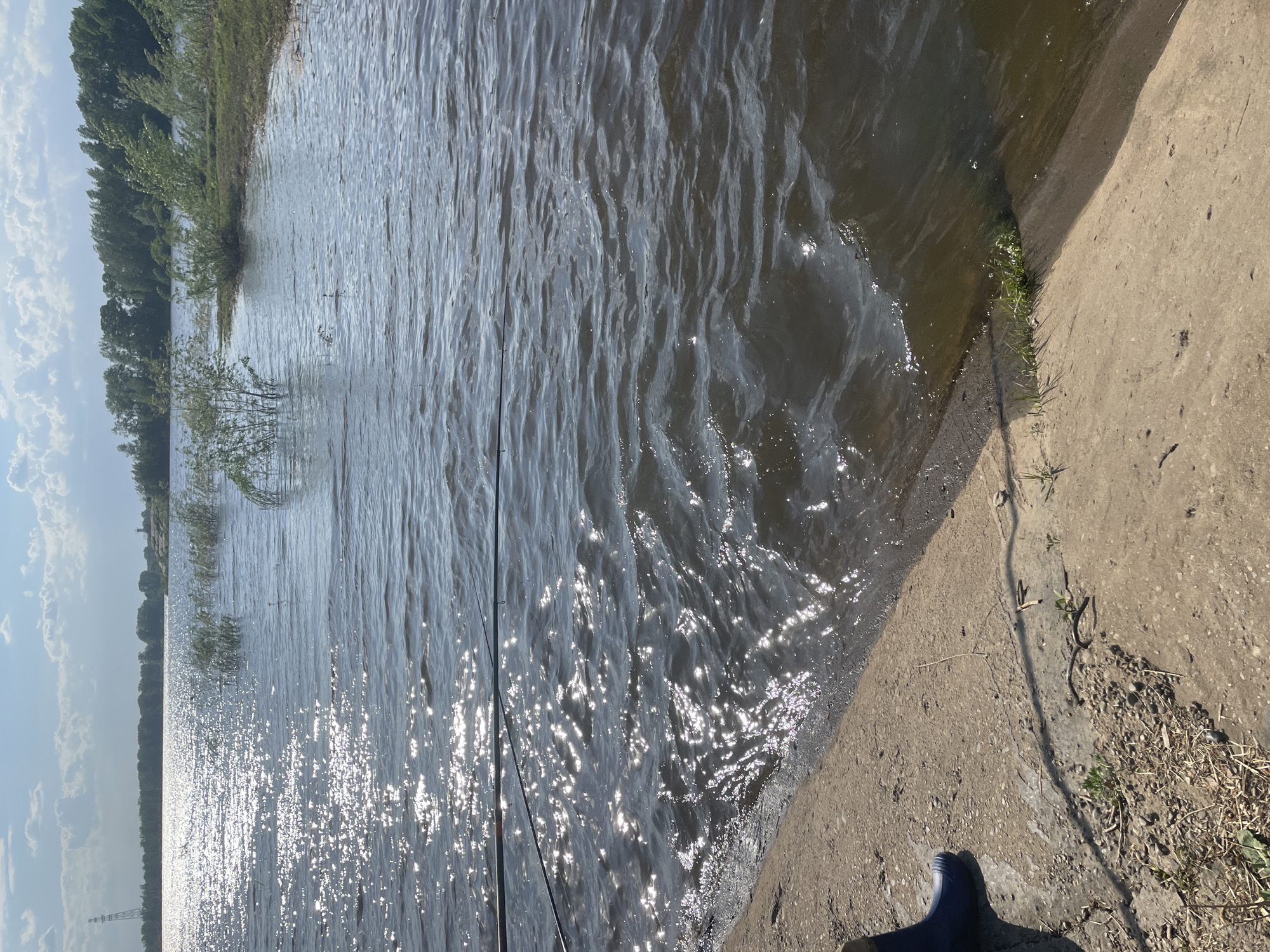 The image depicts a body of water, possibly a lake or river, with sunlight reflecting off the surface. Vegetation lines the far bank, and a concrete edge is visible on the right side of the frame, with some grass growing along the water's edge. A dark object, likely footwear, is partially visible in the lower right corner of the image. A fishing rod is leaning into the water. The location is unknown.