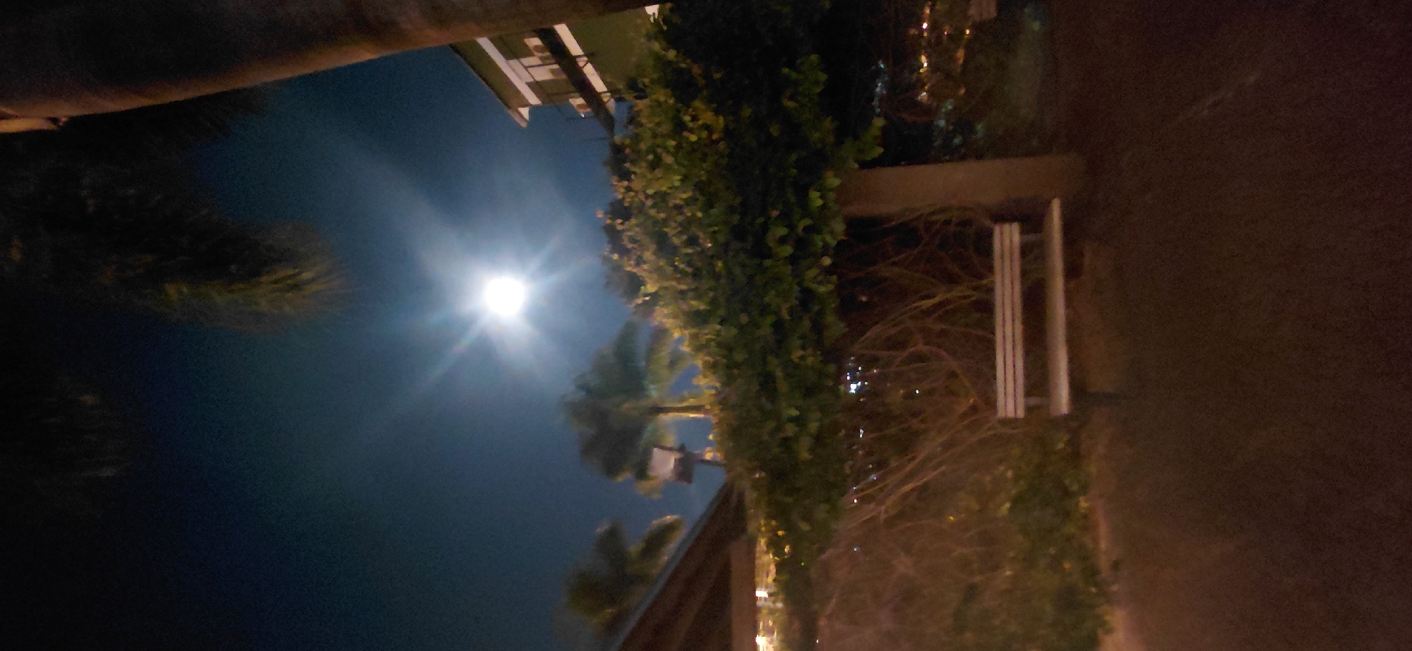 The image depicts an outdoor scene at night, illuminated by a bright full moon positioned in the upper center of the frame. The moon is the primary light source, casting a strong glow and creating lens flares. In the foreground, a simple wooden bench with two horizontal slats is visible, situated on a paved area. Behind the bench, a thick, leafy vine covers a wall or structure, with a substantial tree trunk visible on the right side, supporting the vine. Beyond the vine, palm trees with distinctive fronds are silhouetted against the night sky, along with the corner of a modern building with visible windows. The overall atmosphere is serene and quiet, suggesting a park or public space. The location is identified as Presidente Franco, Paraguay.