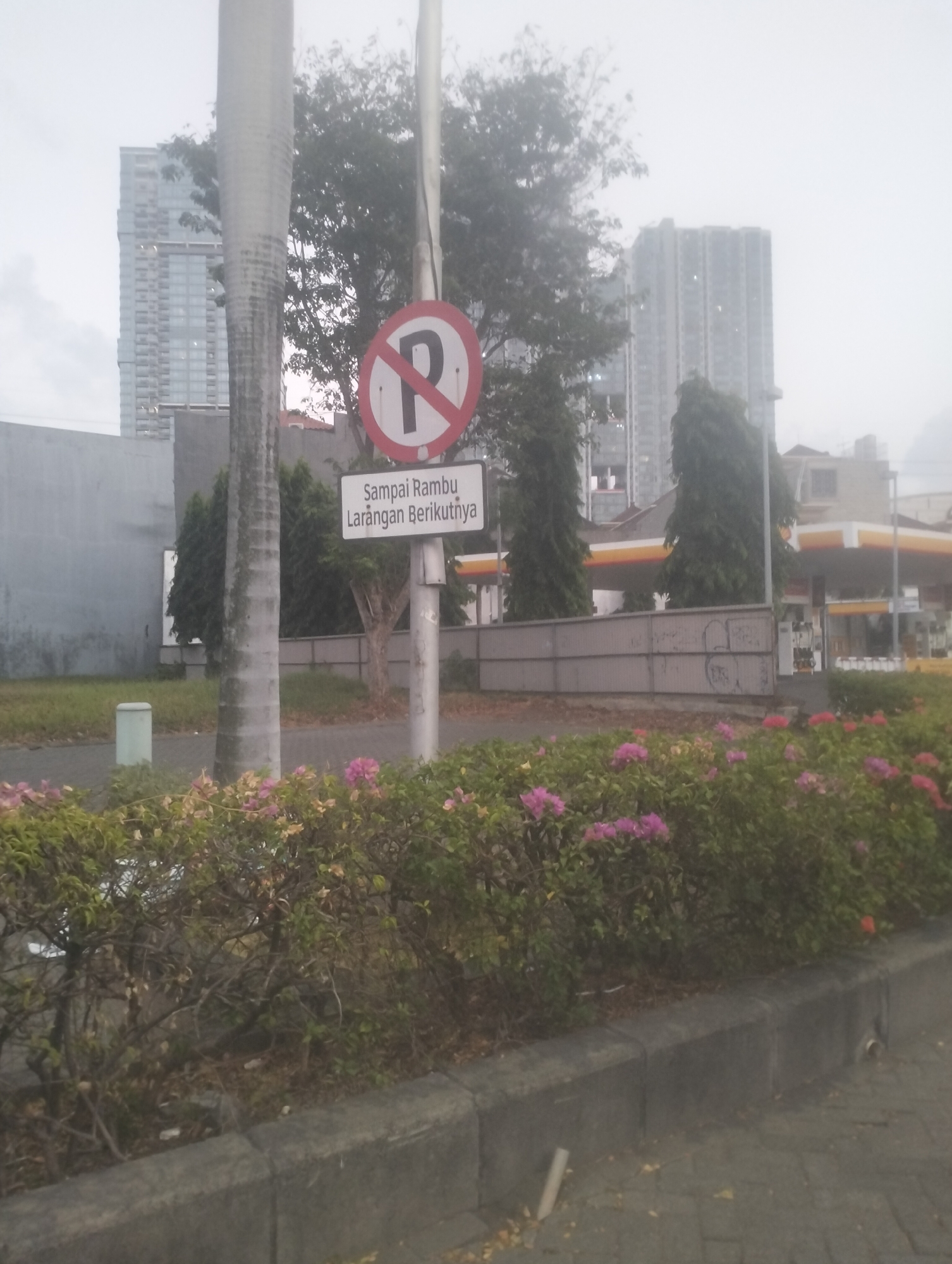 In Surabaya, Indonesia, a street scene unfolds under an overcast sky. The foreground features a gray concrete curb bordering a paved walkway. Beyond the curb, a dense hedge of green bushes with clusters of pink and purple flowers runs horizontally across the frame.
Behind the hedge, a tall, slender palm tree trunk dominates the left side of the image. To its right, a white traffic sign with a red circle and a diagonal red line crossing a black "P" symbol indicates "no parking." Below this sign, a rectangular white sign reads "Sampai Rambú Larangan Berikutnya," which translates to "Until the next prohibition sign" in Indonesian. A light gray pole supports these signs.
Further back, a gray concrete wall with a textured surface stretches across the middle ground. Beyond the wall, several trees with dark green foliage are visible, interspersed with glimpses of buildings. On the far right, a Shell gas station canopy with yellow and red accents is partially visible, along with fuel pumps. In the distance, tall modern buildings, likely skyscrapers, rise against the hazy sky, one appearing under construction with scaffolding. The overall impression is a somewhat urban environment with elements of nature and commercial activity.