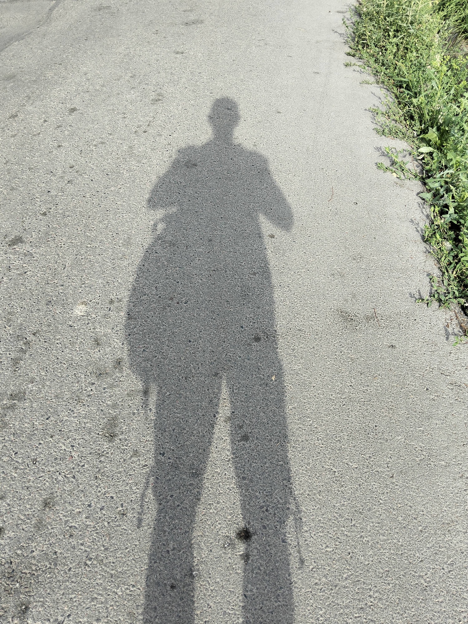 The image shows a shadow of a person standing on a paved surface, likely a road or sidewalk, with overgrown vegetation on the right side. The shadow is cast from the left, indicating the sun is to the left of the frame. The person appears to be wearing a jacket and carrying a bag over their shoulder. The paved surface is rough and grey, with some small debris scattered on it. The vegetation consists of green grass and weeds. The overall scene suggests an outdoor environment, possibly in a park or along a roadside. There is no identifiable information or context that would allow for a specific location in Almaty, Kazakhstan, to be determined.
