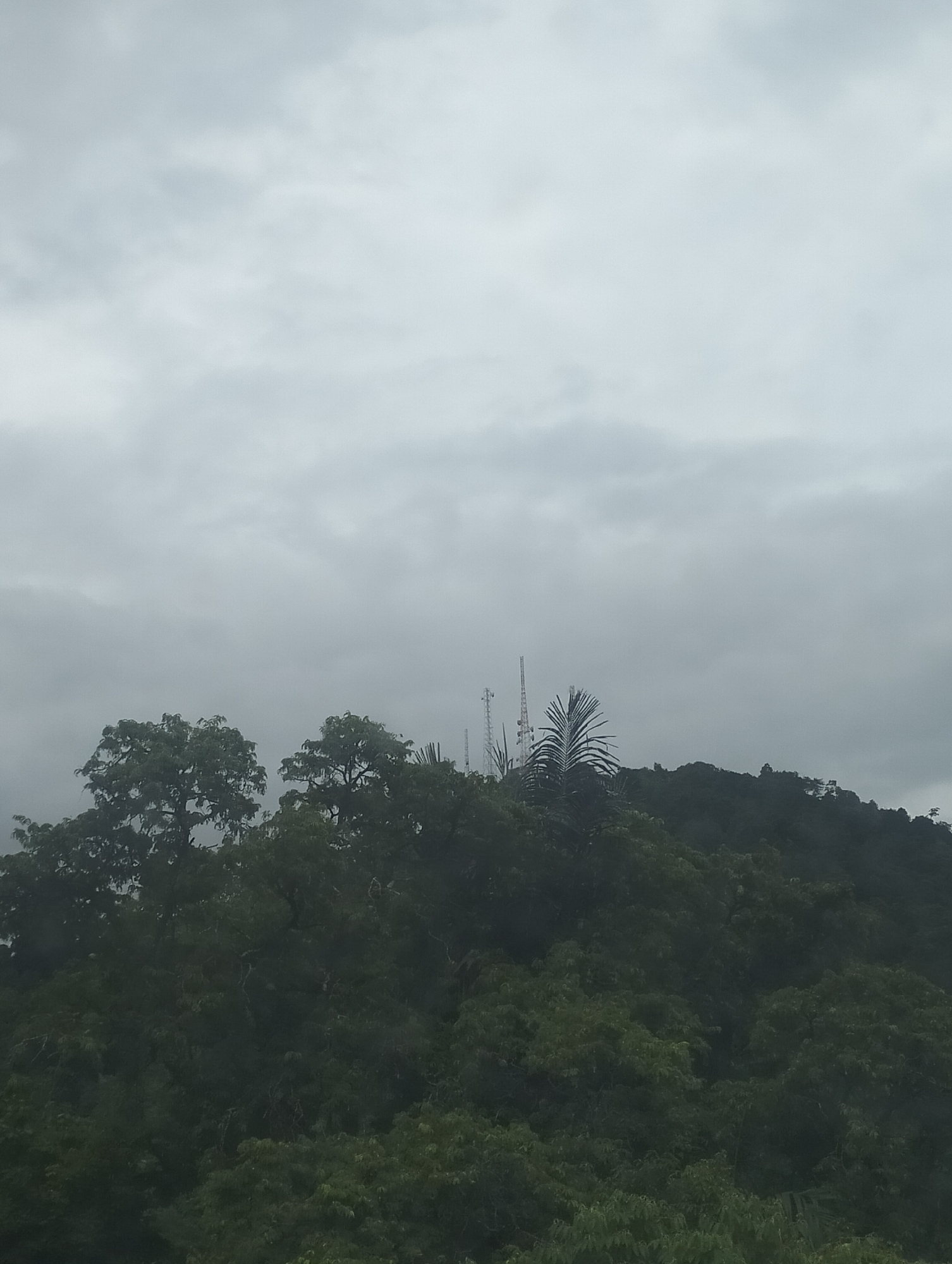 The image displays a landscape dominated by lush green foliage covering a hillside. Several communication towers rise above the treeline, silhouetted against an overcast sky. Two large, leafy trees are prominent in the foreground on the left side of the frame, while a cluster of these towers and a palm frond are visible further back on the right. The environment appears to be natural, with no visible signs of human activity beyond the towers. The lighting suggests a cloudy or overcast day, casting a muted light over the scene. The location is identified as Seungkomulat, Indonesia.