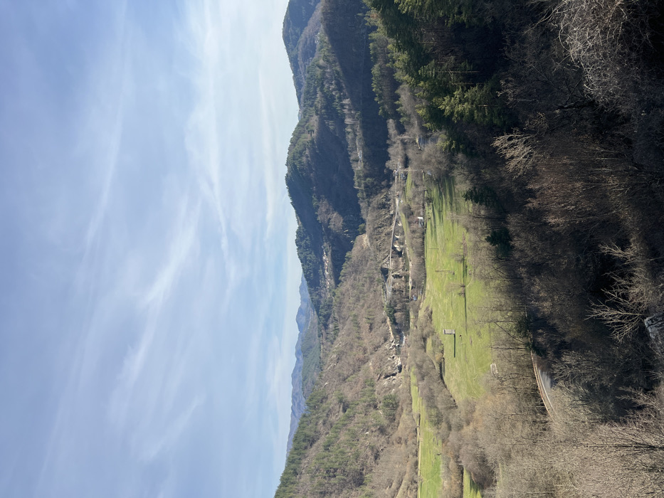 This image depicts a panoramic view of a mountainous valley near Stoianovo, Bulgaria, under a clear to partly cloudy blue sky with scattered cirrus clouds. The foreground features dark, bare deciduous trees and shrubs, with a winding asphalt road visible on the lower right, descending into the dense vegetation. The mid-ground reveals a wide, vibrant green grassy valley floor interspersed with patches of darker undergrowth. A small, dark rectangular structure, possibly a hut or shed, stands centrally within the green field on the left. In the middle distance, a multi-arch concrete or stone bridge, light grey in color, spans a river or gorge, carrying a road or railway line. Adjacent to the bridge and further along the valley, scattered small buildings with light walls and dark roofs are visible, indicating sparse habitation. The background consists of rolling mountains and hills covered in a mosaic of dense dark green coniferous forests and bare brownish-grey deciduous trees, extending to the horizon. No individuals or active interactions are visible within the scene. The overall environment suggests a rural, natural landscape in a late winter or early spring setting.