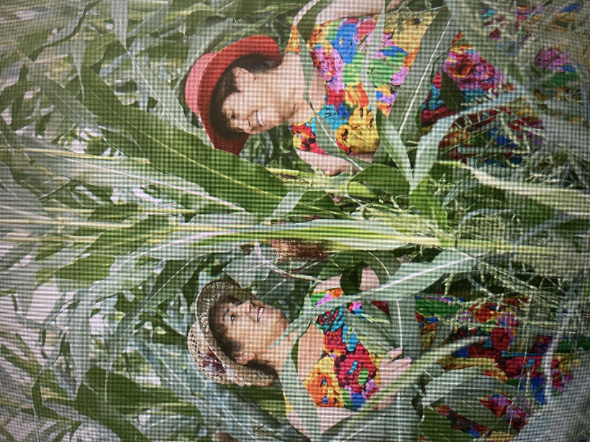 Two women, one wearing a straw hat and the other a red hat, stand in a cornfield. Both women are wearing brightly colored floral dresses. They are smiling and looking at each other. The corn stalks are tall and green, and the leaves are broad. The image is taken from a medium shot, and the focus is on the women. The lighting is natural, and there is a slight haze in the air. The location in Izhevsk, Russia is not specified in the image.