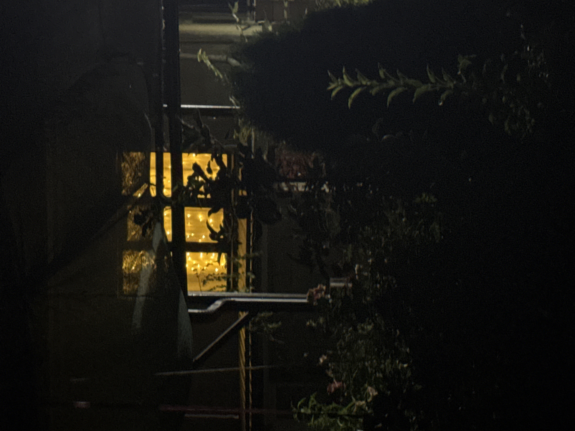 The image shows a dimly lit outdoor scene at night. In the background, a window is illuminated by numerous warm-toned string lights. The window appears to be part of a structure, possibly a building or shed, with a dark, slightly textured surface. In front of the window, silhouetted foliage partially obscures the view. The foreground is predominantly dark, with some faint shapes of plants and bushes visible. A dark, conical evergreen tree is prominently featured on the right side of the frame. The overall impression is one of a domestic setting at night, with decorative lighting contributing to the ambiance. The location is specified as Vostok, Kyrgyzstan.