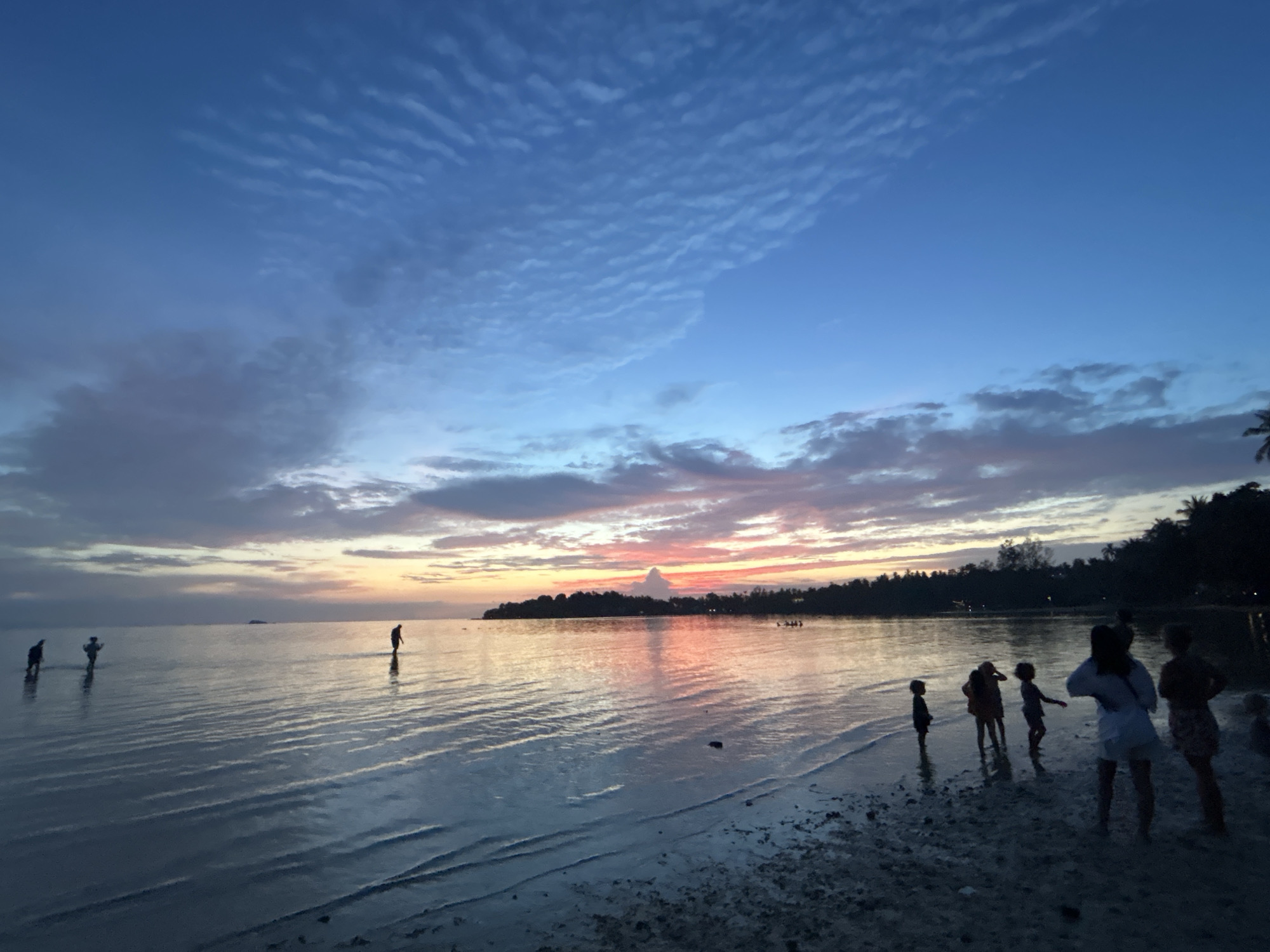 The image captures a serene sunset scene at a beach on Ko Pha-ngan District, Thailand. The sky is a gradient of deep blue to soft pink and orange, with scattered clouds reflecting the twilight hues. The sea is calm, with gentle ripples on the surface, and the water extends to the horizon where a treeline of palm trees and vegetation can be seen. Several people are visible in the shallow water and on the sandy shore. In the foreground, a group of silhouettes, appearing to be a family, stands near the water's edge. To the left, further out in the water, more individuals are seen wading. The overall atmosphere is peaceful and tranquil, characteristic of a tropical evening.