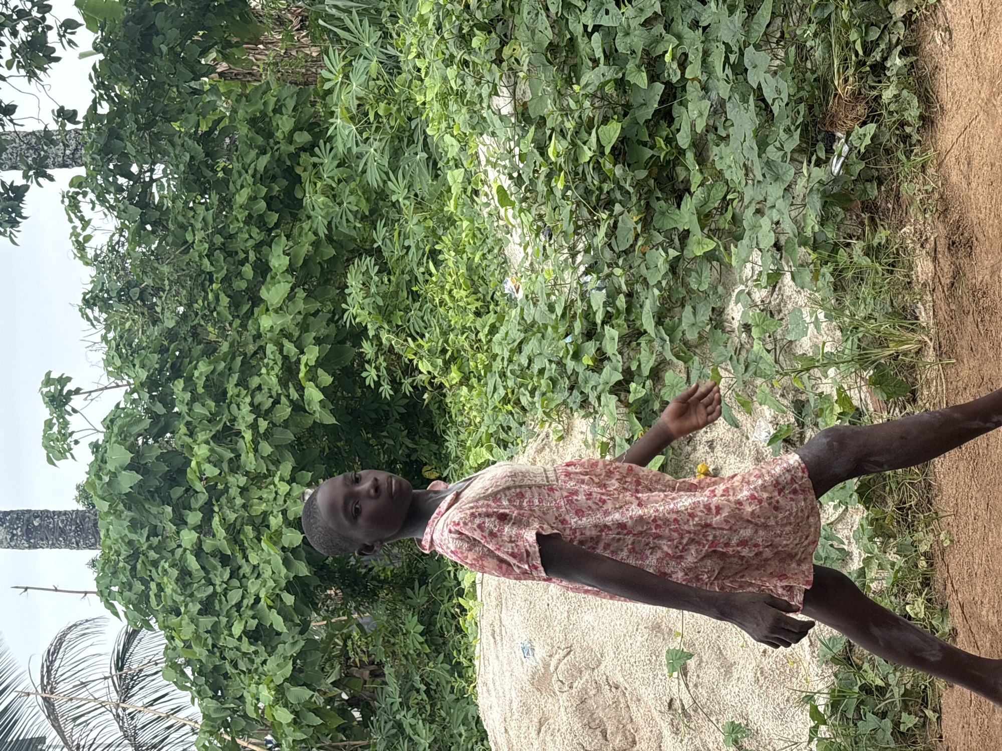This image, taken in Ikot Ekpene, Nigeria, features a young person, likely a child or pre-teen, of dark complexion, standing outdoors. The individual wears a light-colored, short-sleeved dress adorned with a floral pattern in shades of pink and red. They stand with a neutral expression, looking directly towards the camera.
The scene is set in a lush, green environment. The background is filled with dense foliage, including various bushes and climbing vines. Some plants with distinctive palmate leaves, possibly cassava, are visible. A tall tree trunk is faintly visible in the upper left background against an overcast sky.
To the right and slightly behind the person, there is a substantial pile of light-colored, granular material, resembling sand or fine crushed stone. The immediate ground around the person is a mix of dirt and green vegetation. A distinct reddish-brown dirt path or bare earth section is visible along the far right edge of the frame. The diffused lighting suggests an overcast day. No text is visible in the image.