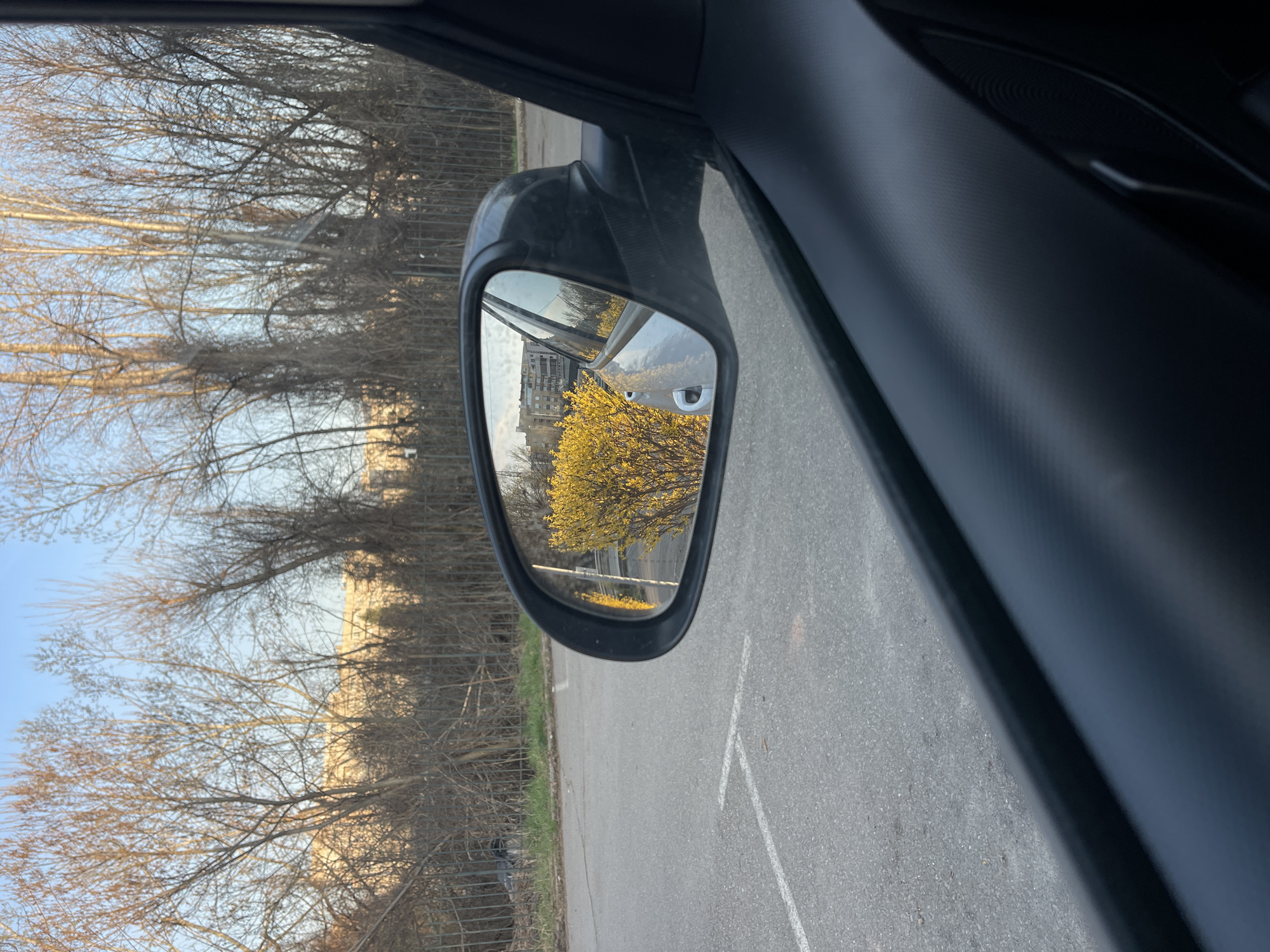 The image shows a view from inside a car, looking out through the side mirror. The side mirror reflects a scene of a parking lot with white parking lines. A tree with bright yellow flowers and a tall building are visible in the reflection. The background outside of the mirror shows trees without leaves and a blue sky. The location is likely in Sofia, Bulgaria.
