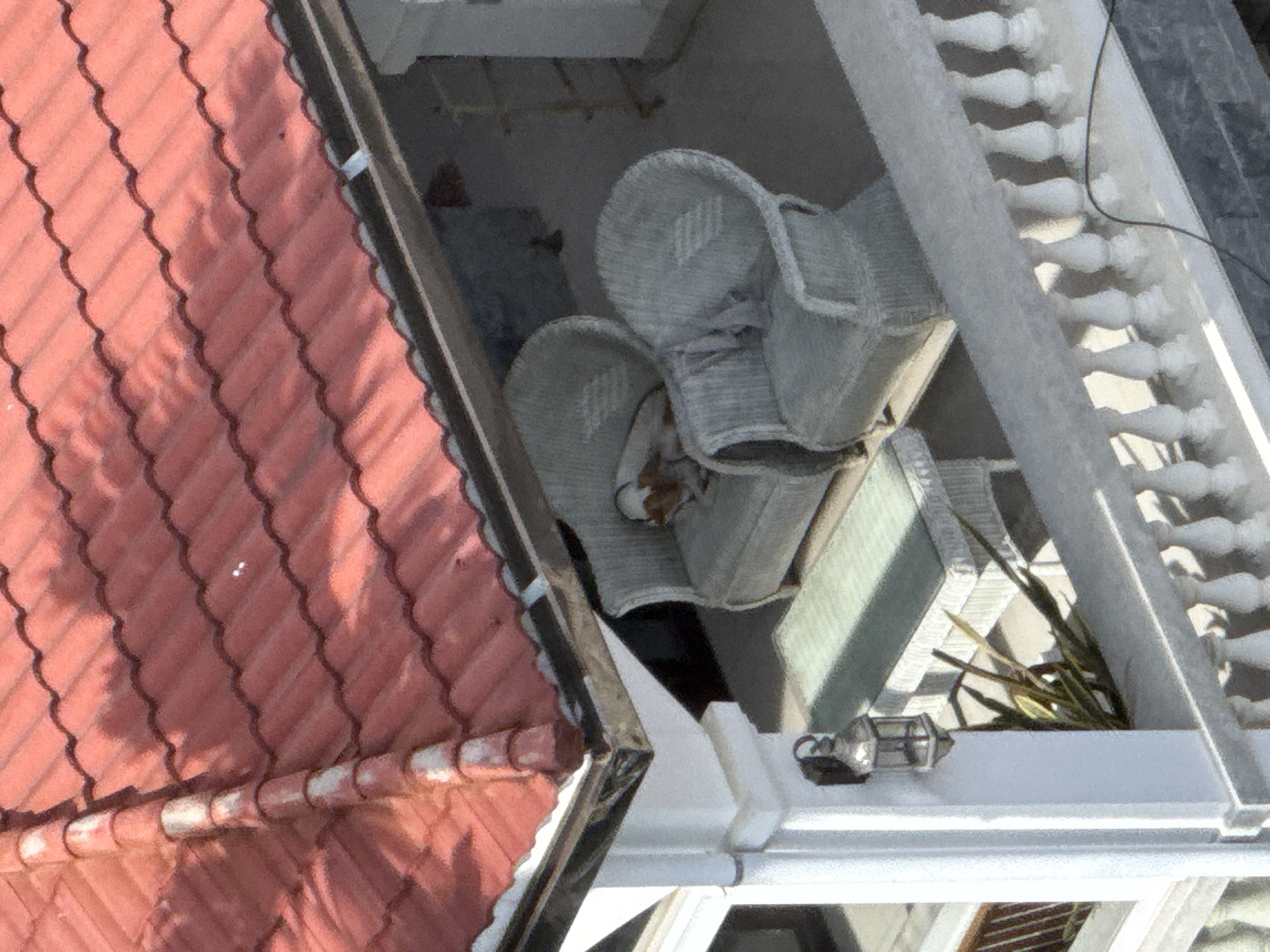 The image captures a close-up view of a red tile roof and a portion of a balcony. On the balcony, two light gray wicker chairs are visible, one of which has a dark brown cushion. A small, light green table with a woven texture sits between the chairs. A decorative lantern hangs from a white pillar on the left side of the frame. In the foreground, a white balustrade with multiple spindles lines the edge of the balcony. A plant with long, thin green leaves is positioned in front of the white pillar and behind the balustrade. The background is a neutral gray, suggesting an outdoor setting. The overall scene is an outdoor seating area, likely part of a residential building or hotel in a tropical or subtropical climate. The specific location within Bac Nha Trang Ward, Vietnam, is not explicitly indicated by any visible landmarks or text.
