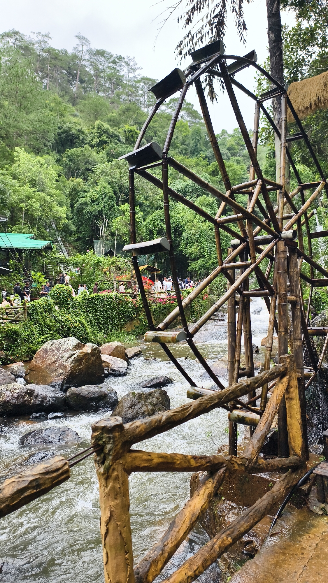A large, rustic wooden water wheel is the central focus of the image, positioned in the foreground of a flowing river. The water wheel is constructed from bamboo poles and has several large, scoop-like wooden structures attached to its perimeter. The river runs over large, dark rocks, and the water appears agitated.
In the midground, a lush, green hillside rises, covered in dense trees and vegetation. Interspersed among the foliage are several buildings with green roofs and balconies. A pathway or bridge, lined with abundant flowering plants and ivy, runs along the hillside, and numerous people are visible walking and standing along this path. They appear to be tourists, dressed in casual clothing.
In the background, the hillside continues to ascend, becoming steeper and more densely forested with tall, slender pine trees. The sky is overcast and a light gray. The overall impression is of a scenic natural attraction in a mountainous, possibly tropical, region, with visitor infrastructure integrated into the landscape.
This scene is characteristic of the Datanla Waterfall attraction in Da Lat, Vietnam, known for its natural beauty and the iconic human-made attractions like the water wheel that are incorporated into its design for tourist appeal and to harness water power.