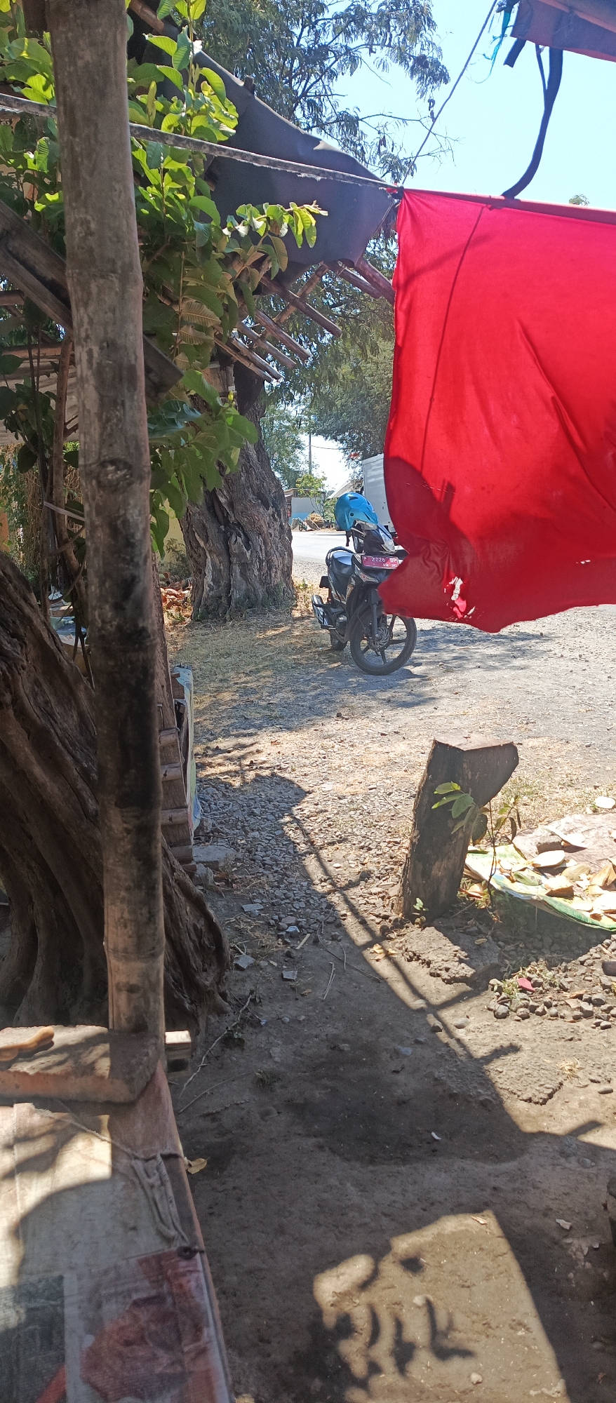 The image depicts an outdoor scene in Arjasa, Indonesia, characterized by a dusty, sun-drenched environment. In the foreground, a weathered wooden structure is partially visible, with a large, gnarled tree trunk to its left. Overhanging the scene is a makeshift roof, made of dark fabric stretched over wooden beams, with a vibrant red cloth billowing from the right side. Behind the tree, a black motorcycle is parked, its seat adorned with a bright blue helmet. The ground is covered in a mix of dirt, small stones, and sparse vegetation. In the background, a road is visible, with a white truck parked further down, and modest buildings lining the street. The overall impression is one of a simple, rural setting under a clear, bright sky.