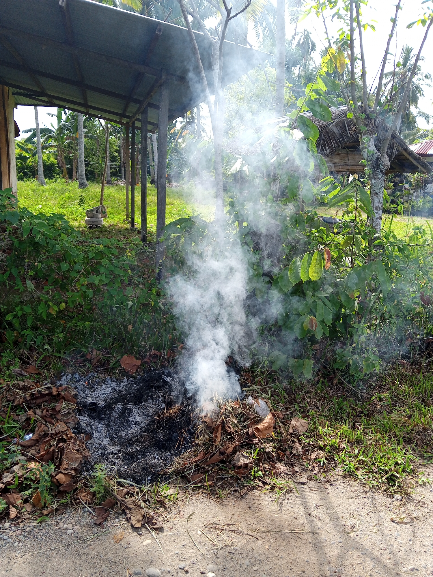 The scene depicts a smoldering pile of leaves and debris generating smoke in an outdoor environment. Charred and unburnt leaves are visible, with a substantial plume of smoke rising upwards and partially obscuring the surrounding vegetation. The location includes a dirt road or path in the foreground. A shed-like structure with a corrugated metal roof and supporting wooden posts stands nearby, on the left. The background features lush greenery, including trees and bushes, as well as a small thatched-roof structure on the right. Based on the provided information, the scene is located in Payadua, Indonesia.