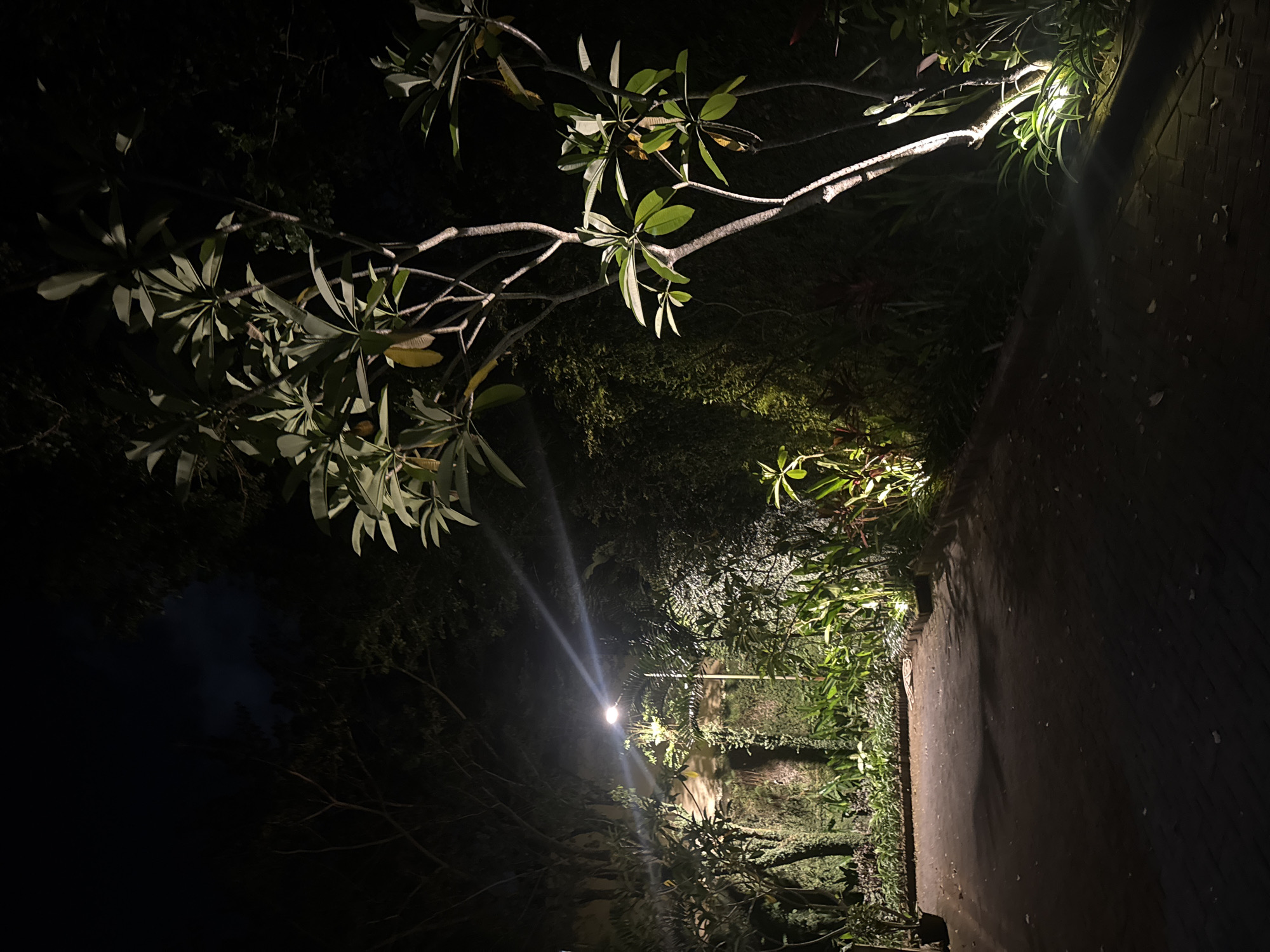 The image shows a night scene in Kuta Selatan, Indonesia, potentially along a pathway or road. A light source, likely a street lamp, is prominent in the middle ground, illuminating the path and surrounding vegetation. The light casts strong rays, suggesting it is a bright point source. Branches and leaves of trees or shrubs are visible in the foreground, partially obscuring the view and creating shadows. The path appears to be made of concrete or a similar material, and is dark due to the limited lighting. The overall environment is dark with only illuminated sections from the light source. The image's orientation is rotated counter-clockwise, making the path appear vertical.