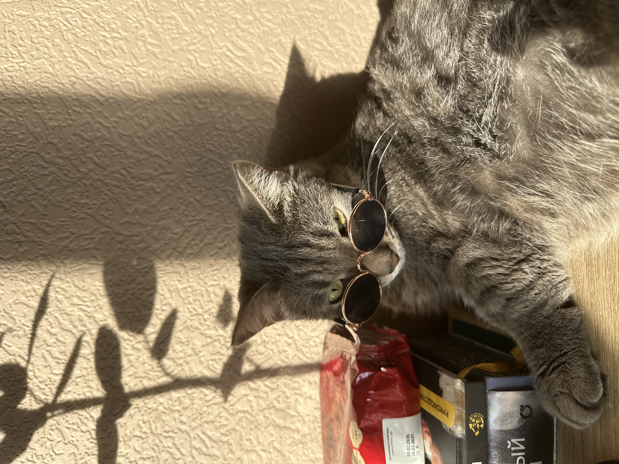 A grey tabby cat wearing round sunglasses is lounging on a stack of books and a package of food, with its head near the edge of the surface. The cat's fur is visible in detail, as are its green eyes behind the lenses of the sunglasses. The package of food is red, and the books beneath it are partially visible, with some text in Russian. The background is a textured wall, and a shadow of a plant is cast upon it. Based on the text written on the package of the food, the photo might have been taken in the city of Krasnoyarsk, Russia.