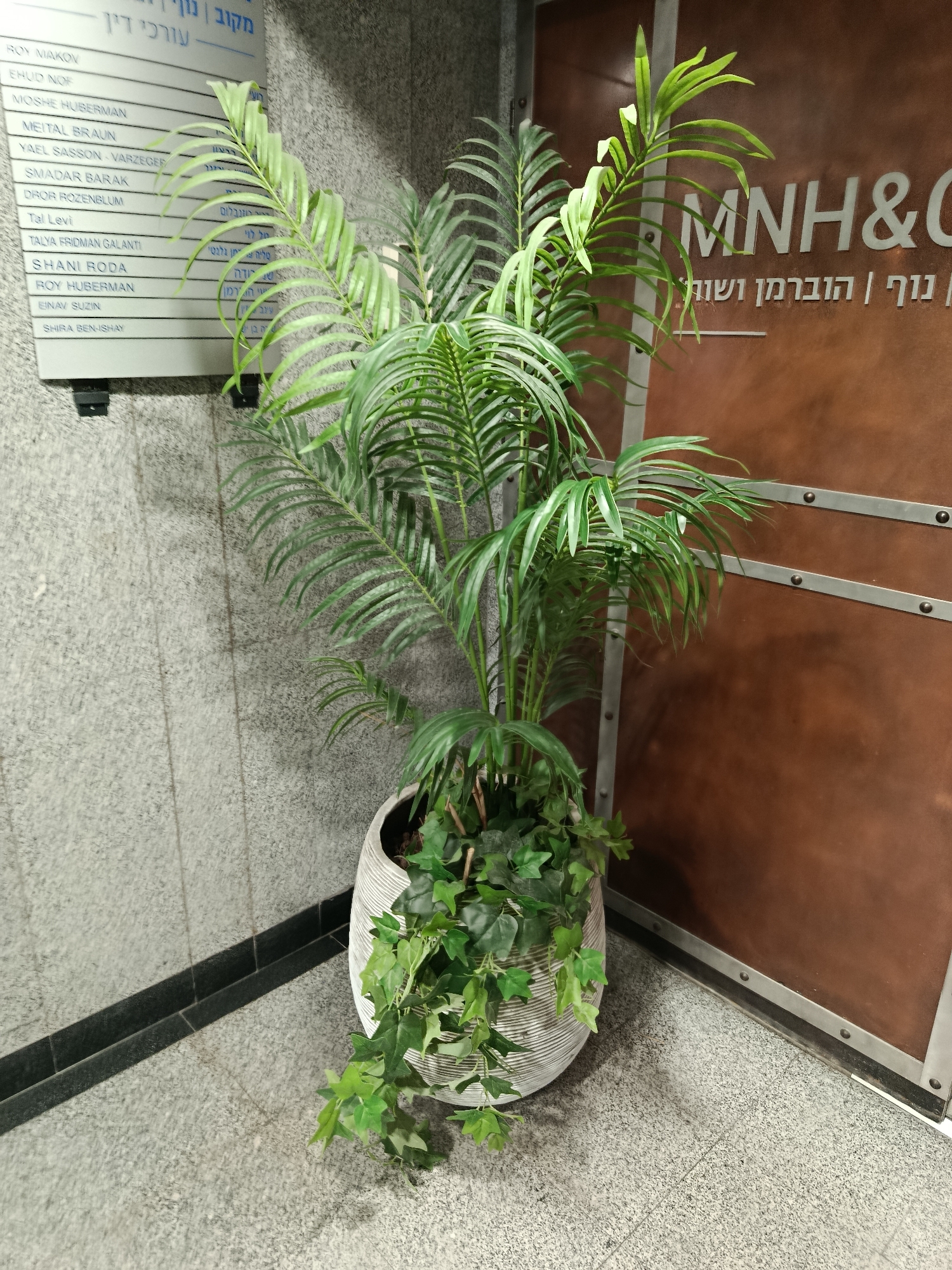 The image shows a potted plant with green fronds and ivy in the foreground. Behind the plant, a sign with a list of names in English and Hebrew is mounted on a textured gray wall. To the right of the sign is a large, dark brown door with metallic accents. The text on the door reads "MNH&C" in white lettering, with Hebrew text below it. The environment appears to be indoors, possibly in an office building or public space. The presence of a sign listing names and the business name on the door suggest this might be an office or a business located in Ramat Gan, Israel.
