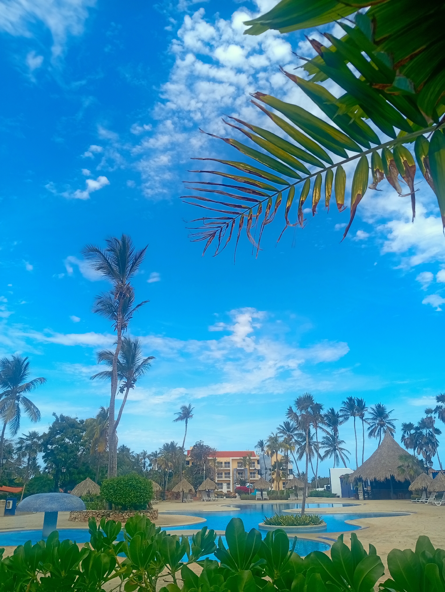 The image depicts a tropical scene at a resort in Playa El Agua, Venezuela. The foreground shows lush green foliage partially obscuring a swimming pool. Beyond the pool lies a sandy area with several palm trees and thatched-roof structures resembling bars or cabanas. In the background, a multistory building with orange accents is visible. The sky is bright blue with scattered white clouds. A palm frond occupies the upper right corner, partially obscuring the sky. There are no people visible in the image.