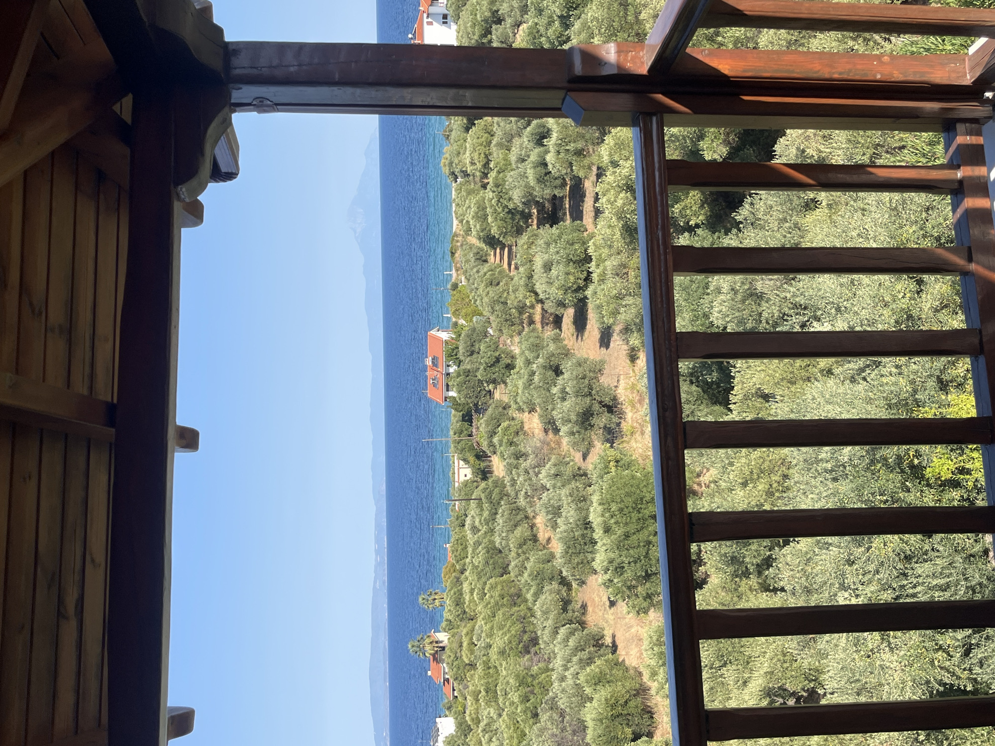 A wide-angle shot depicts a scenic view from a wooden balcony overlooking an olive grove, the sea, and a distant mountain range under a clear blue sky. The foreground is dominated by the dark brown wooden railing and roof beams of the balcony. Beyond the railing, a vast expanse of lush green olive trees stretches towards the horizon. Several houses with red-tiled roofs are interspersed within the olive grove and along the coastline. The turquoise sea meets the treeline, with a strip of beach visible in the middle ground. In the far distance, a majestic mountain peak is silhouetted against the sky. The overall impression is one of serene coastal beauty and rural tranquility in Sithonia Municipal Unit, Greece. There are no people or animals visible in the image.
