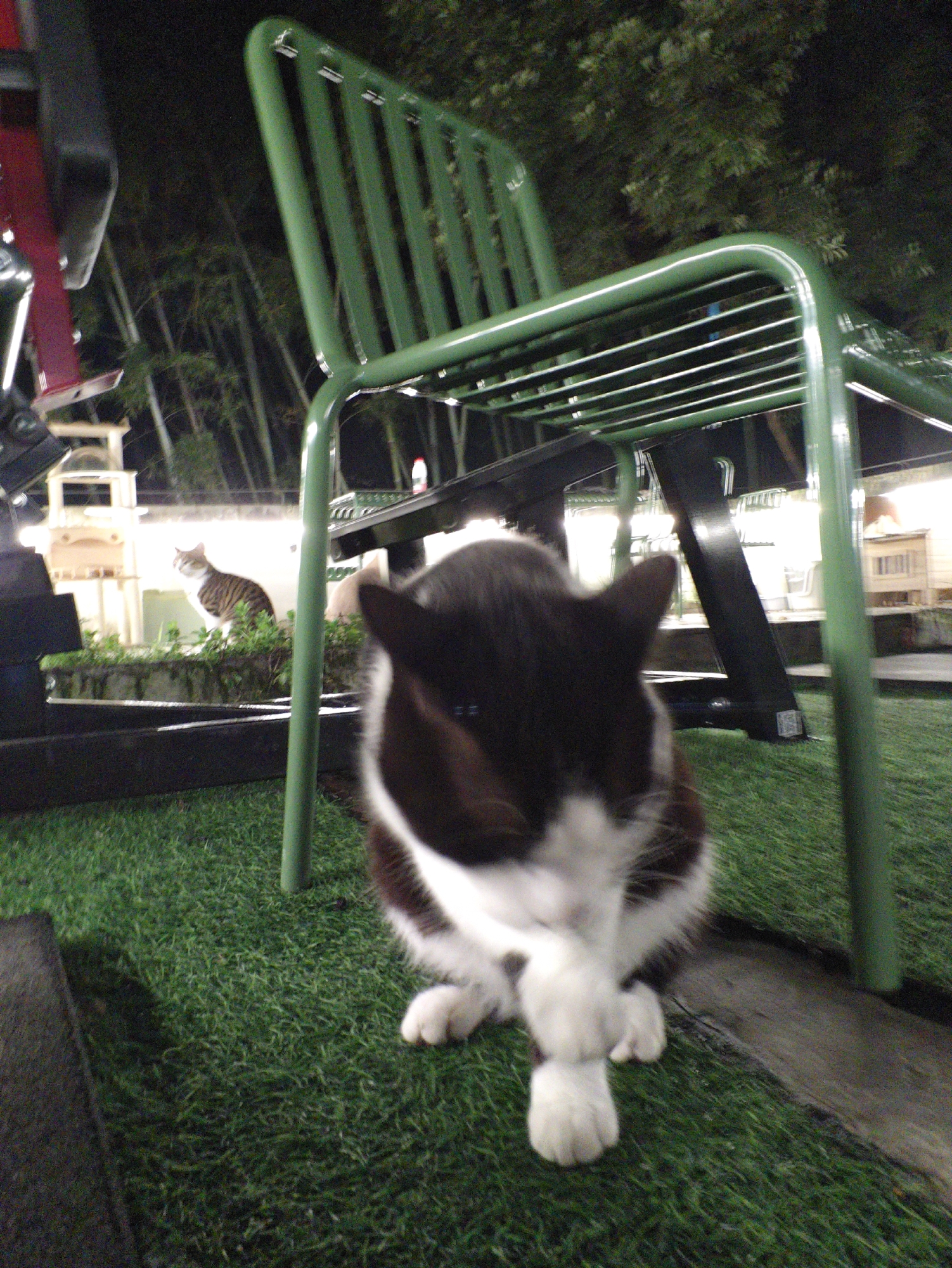 A low-angle, slightly blurry, outdoor nighttime photograph taken in Chongqing High-tech Zone, China, depicts a black and white cat in the foreground with another cat visible in the background. The foreground cat sits on artificial green turf with its paws crossed in front of it. Behind the cat is a green metal chair. Further in the background, visible behind a low wall lined with shrubbery, is another cat. Behind the second cat is a brightly lit structure that appears to be some kind of enclosure. Trees are visible in the dark background. A portion of a red object is visible in the left foreground.