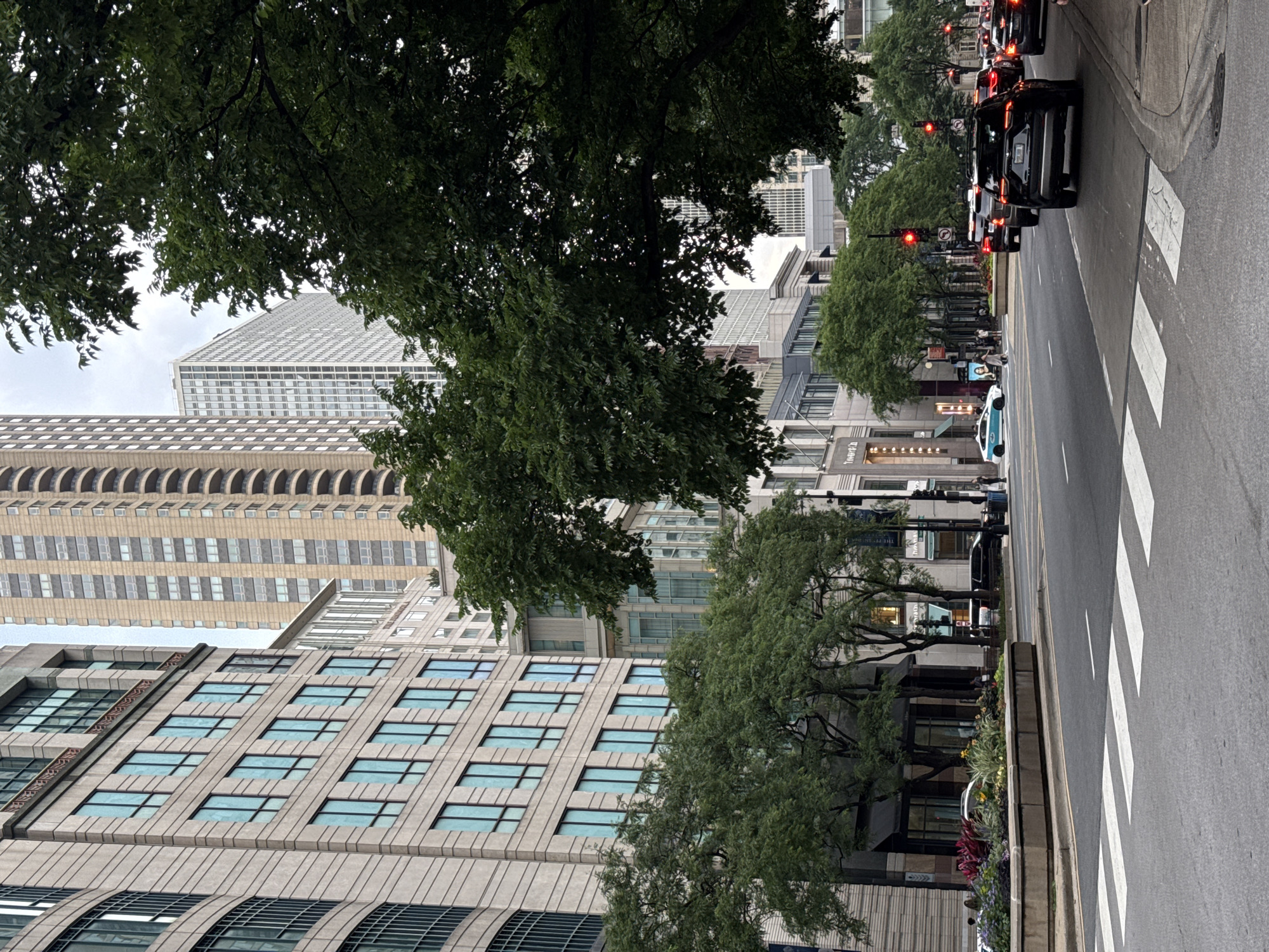 The image depicts a street scene in Chicago, USA, with a focus on the architecture and urban environment. A wide asphalt road occupies the foreground, featuring a clearly marked pedestrian crosswalk. On the left side of the road, a large, light-colored building with a curved facade and numerous rectangular windows with blue-tinted glass dominates the view. To the right of this building, a taller, tan-colored skyscraper with a grid-like pattern of windows and balconies is visible. Further back, a modern, white skyscraper stands out. Lush green trees are scattered throughout the scene, with large canopies partially obscuring the upper portions of the buildings.
The street is lined with businesses, indicated by signage and storefronts. Several cars are present on the road, with traffic lights visible, suggesting an active urban intersection. Some individuals are walking on the sidewalk. The sky is overcast, creating a diffused light. The overall impression is of a busy downtown area within a major city.