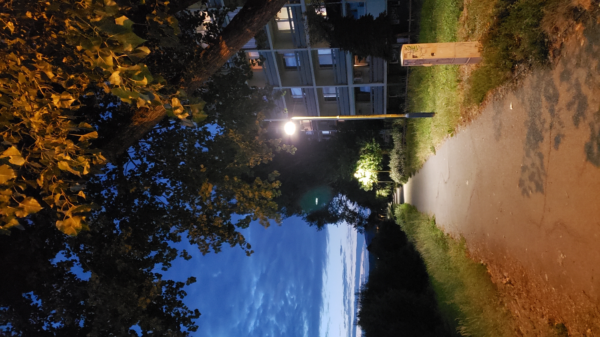 This image depicts a pathway in the city of Prešov, Slovakia, at dusk. A paved walkway curves into the distance, illuminated by streetlights. To the right of the pathway is a multi-story apartment building with lit windows, and an electrical box adorned with graffiti. To the left of the pathway is a grassy verge and dense vegetation, with a line of trees in the background. Overhead, a large tree with dark green leaves and some illuminated yellow leaves partially obscures the deep blue, cloudy sky. The lighting suggests it is late evening, and the scene is quiet and tranquil.