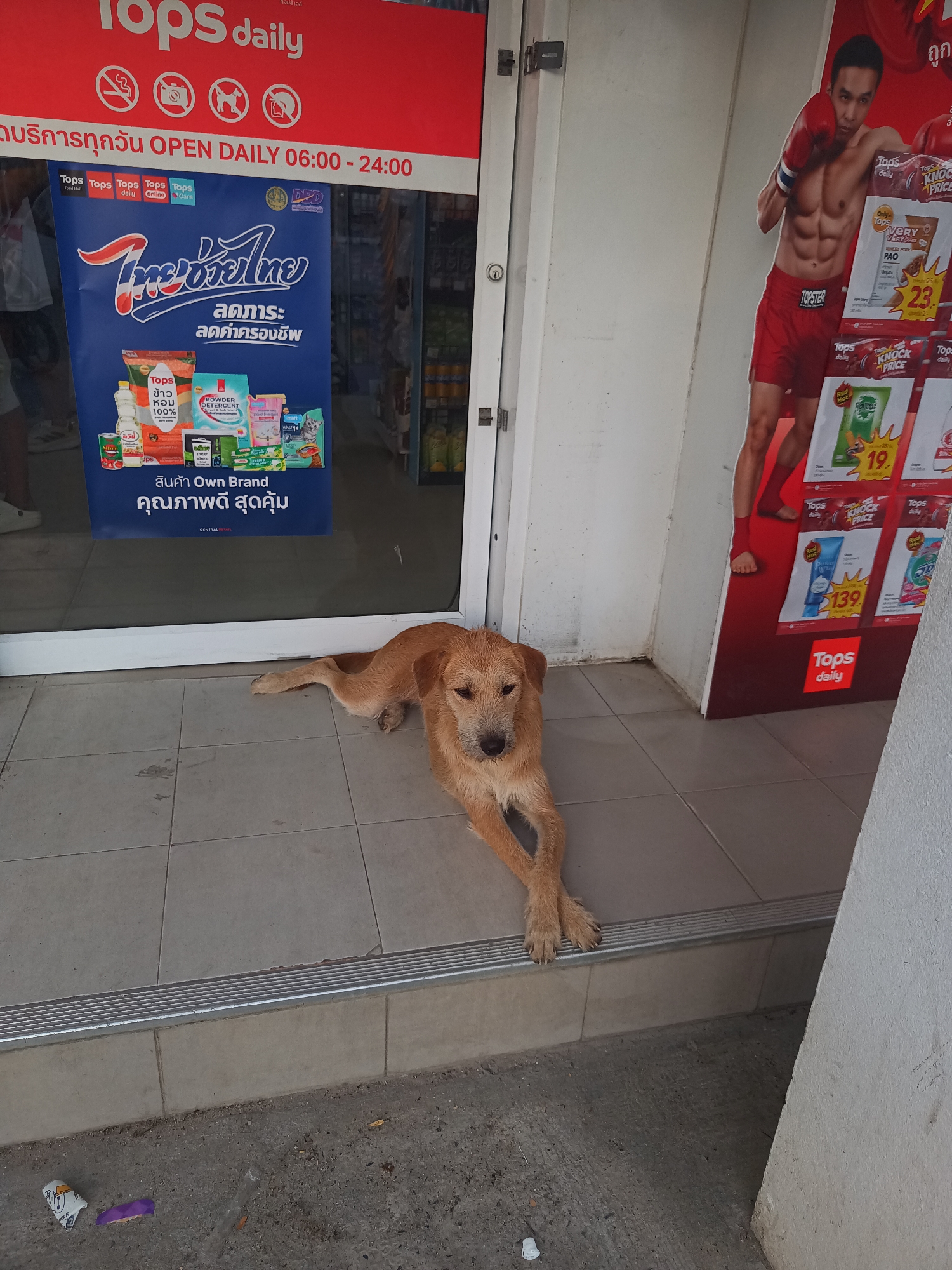 The scene is a photograph taken in Baan Wok Tum, Thailand, depicting the exterior of a Tops Daily convenience store. A medium-sized, light brown dog lies sprawled on the tiled step in front of the entrance. The storefront is partially visible, including a red sign above the door that reads "Tops daily" and operating hours: "OPEN DAILY 06:00 - 24:00". A blue advertisement in the window features products and Thai text. To the right of the door is a promotional poster depicting a muscular man in boxing attire and showcasing "Tops" brand products and their prices. Litter, including a small cup and purple wrapper, is visible on the ground near the step.