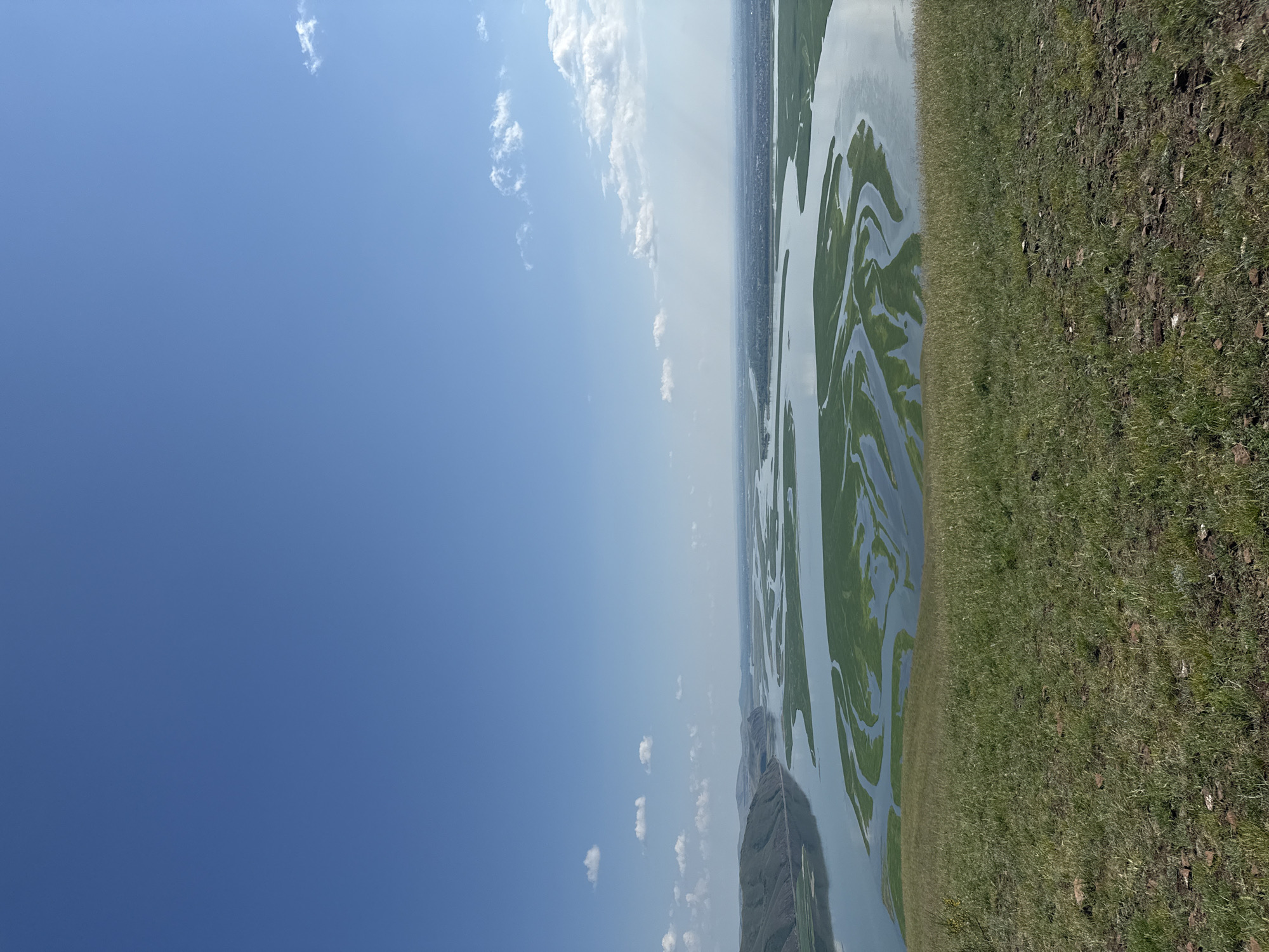 The image shows a wide, winding river with numerous green islands and sandbars, seen from a high vantage point on a grassy hill. The river is reflecting the clear blue sky, which has a few scattered white clouds. In the distance, there are low, rolling hills on the left and a more developed area with buildings on the right, suggesting a town or city. The foreground consists of a gently sloping, grassy hillside with some patches of exposed earth and stones. The scene is a natural landscape with signs of human habitation in the distance. This is likely a view of the Yenisei River near Ust'-Abakan, Russia, known for its expansive floodplains and natural beauty.