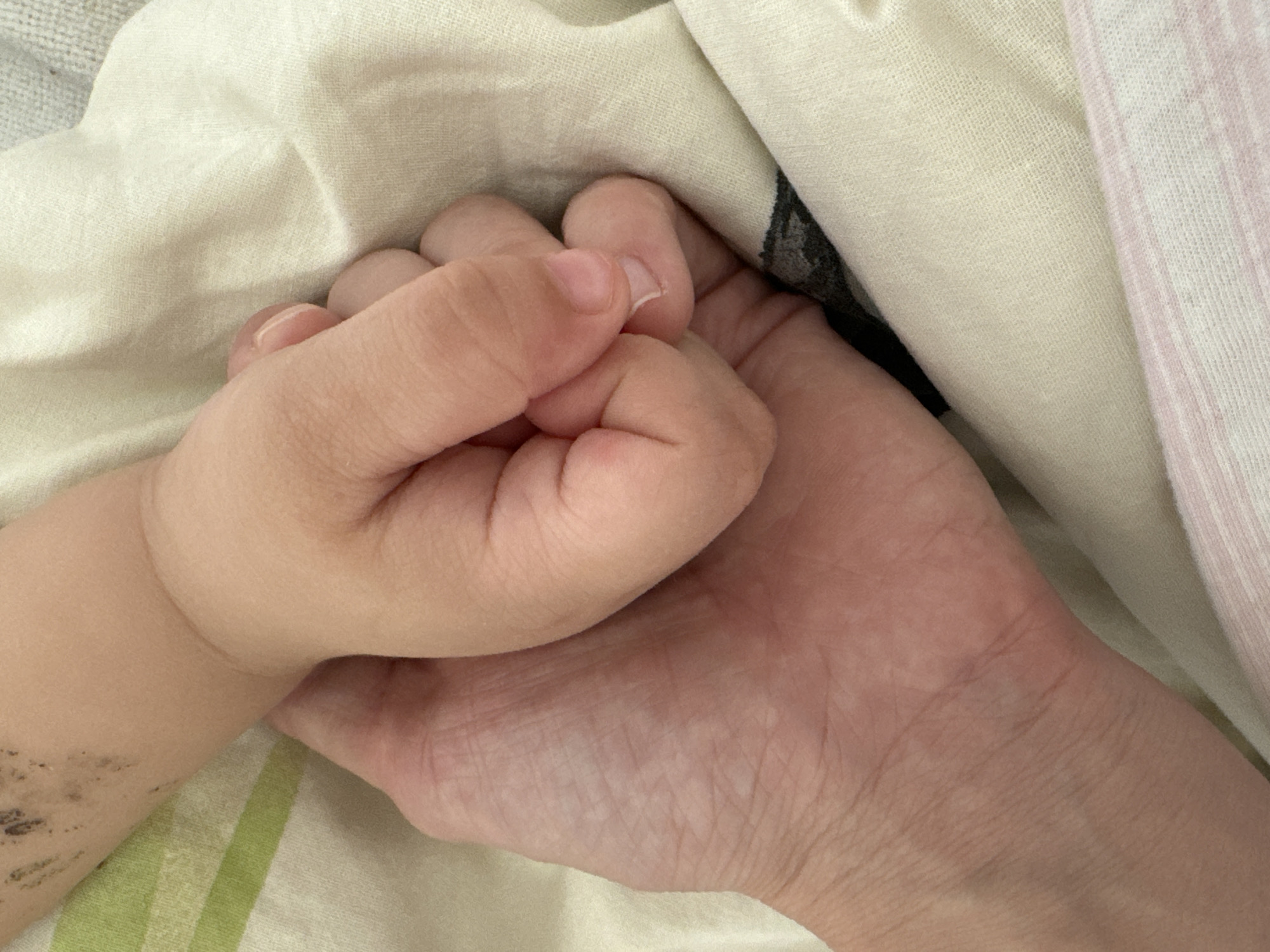 A close-up shot shows a small child's hand clasped in an adult's hand, resting on a bed with striped bedding. The child's hand appears to be gripping the adult's hand tightly. The photograph was taken in the city of Chaikovsky, Russia.