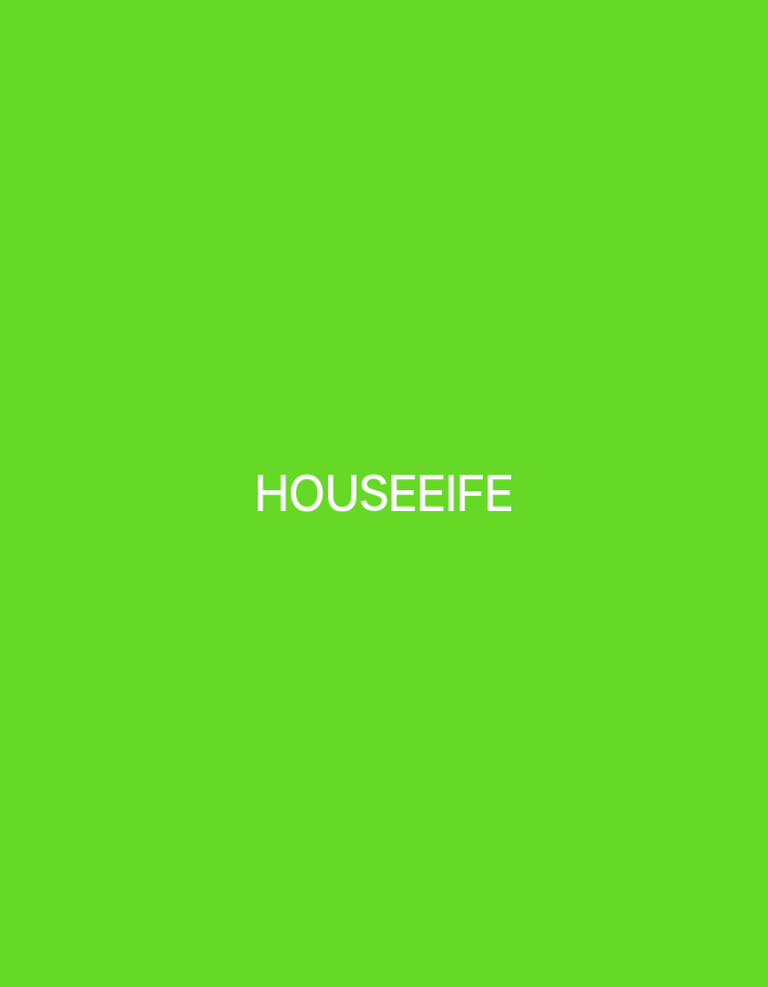 The image is a solid green background with the word "HOUSEIFE" in white text centered horizontally and positioned in the upper half of the frame. There are no discernible details related to the city of Payagaboh, Indonesia, or any people, subjects, objects, or actions within the scene.