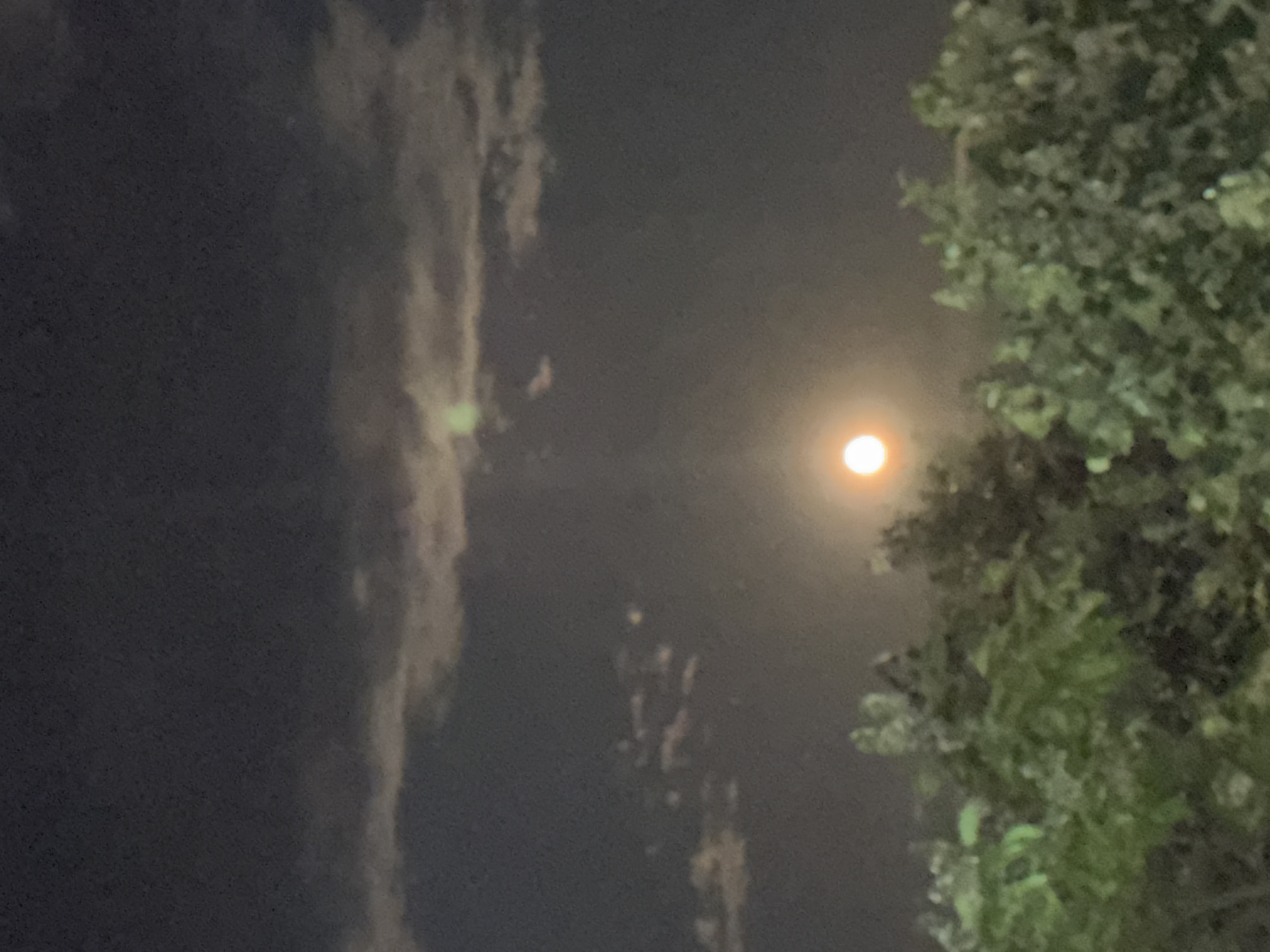A photograph captures a night sky above a cluster of trees. The moon, a bright orb with a faint orange hue, is visible in the center of the frame. It is partially obscured by wispy clouds that stretch across the dark sky. The trees in the foreground are dark green and appear dense, with some leaves catching the moonlight. The image quality is somewhat grainy, suggesting it was taken with a low-light setting or in low-light conditions. The location is identified as Sredets, Bulgaria.