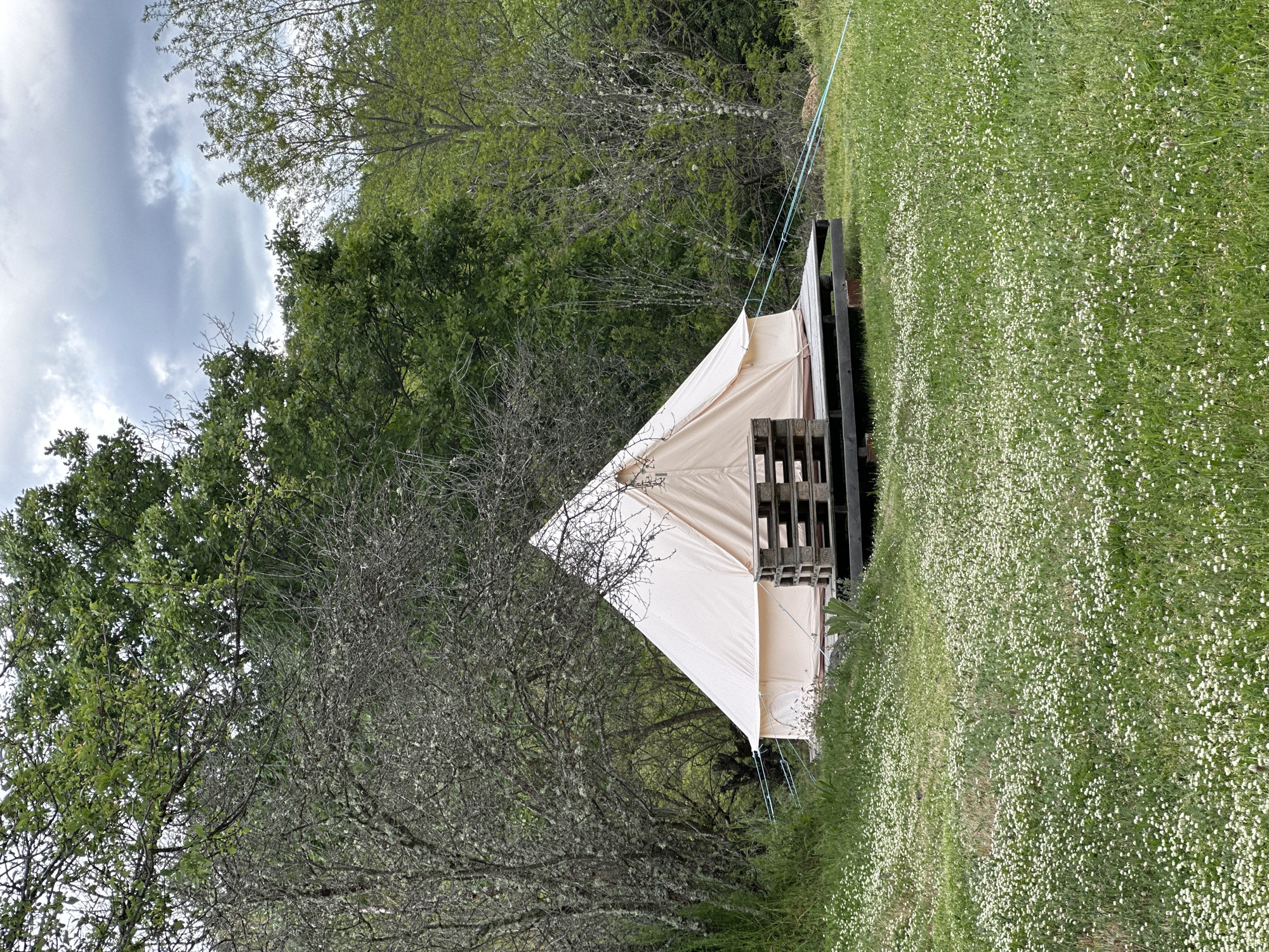 A glamping-style canvas tent stands in a field near Mrachenik, Bulgaria. The tent is light-colored and has a triangular shape, secured with blue ropes. A wooden pallet structure is attached to the back of the tent. The field is filled with green grass and small white flowers. Trees border the field, some with full foliage and others with bare branches. The sky is cloudy.