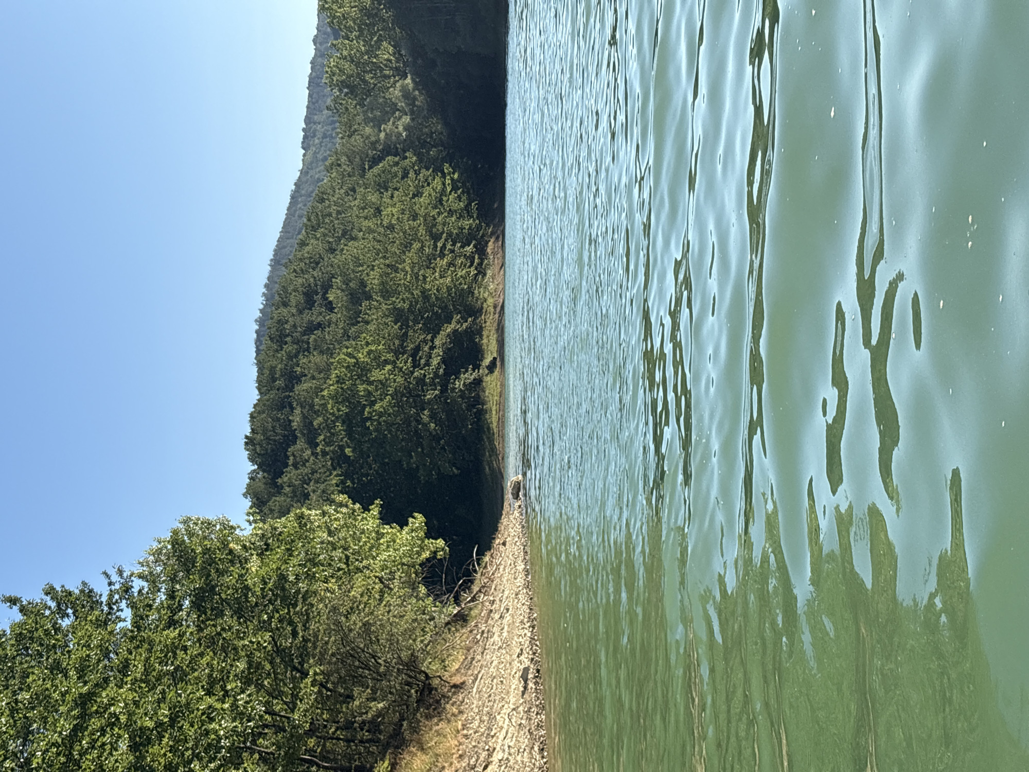 The image depicts a serene natural landscape with a clear blue sky above. In the foreground, the turquoise waters of a lake are visible, with gentle ripples on the surface reflecting the sunlight. The water appears calm and inviting, suggesting a peaceful environment.
To the left, a rocky shoreline slopes down to the water's edge, dotted with small stones and pebbles. Lush green trees, with dense foliage, line the shore and extend up the gentle incline of the land. These trees create a vibrant contrast against the water and the sky.
In the background, a rolling hill covered in a thick canopy of trees forms a picturesque backdrop. The overall impression is one of tranquility and natural beauty, with the landscape bathed in the warm light of day.
This scene is likely located in the vicinity of the village of Golyama Zhelyazna, Bulgaria, a region known for its natural splendor and proximity to bodies of water and forested areas.