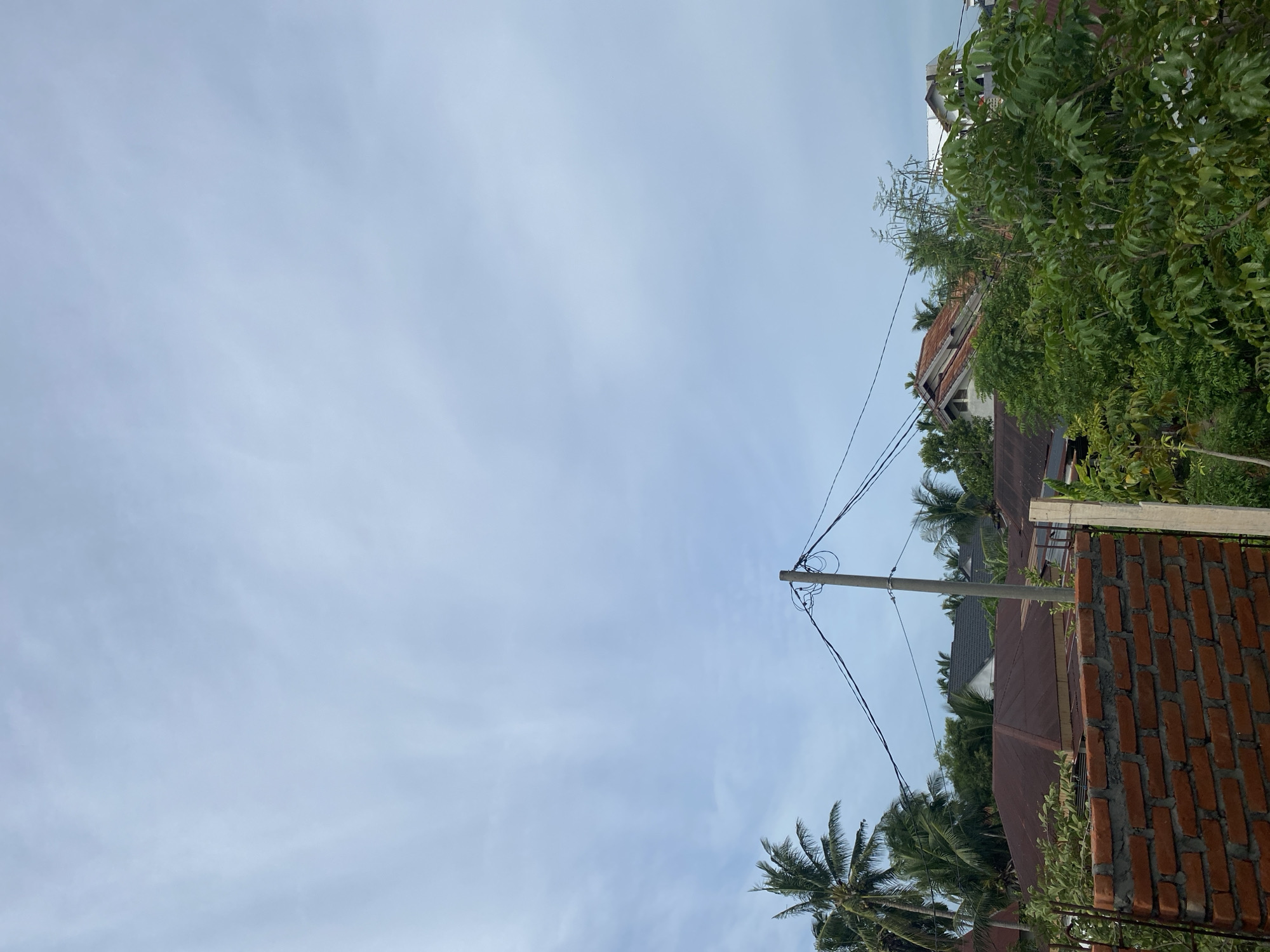 The image shows a view of rooftops and trees under a cloudy sky. In the foreground, a partially constructed brick wall is visible. A utility pole with power lines runs across the scene, with palm trees and other lush green foliage in the background. Several houses with various roof types, including some with metal roofs and others with tiled roofs, are nestled amongst the trees. The sky is overcast with light gray clouds. The overall scene suggests a residential area, possibly in a tropical or subtropical climate.