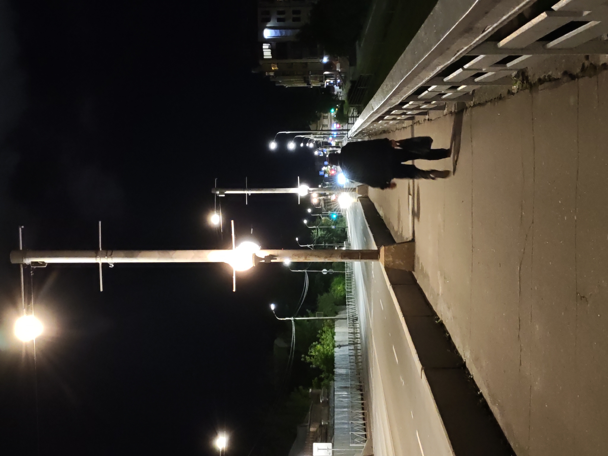 This is a nighttime photograph taken from a pedestrian bridge in Pskov, Russia. A lone individual walks away from the camera down the illuminated sidewalk. The person is wearing a dark jacket and pants and carrying a dark bag in their right hand. The bridge has a metal railing with horizontal bars and posts. To the left of the sidewalk is a road with lane markings, and beyond that is a low concrete barrier. Several streetlights line the bridge, casting pools of light and creating long shadows. In the distance, buildings and trees are visible, with more streetlights and vehicle headlights illuminating the scene. The sky is dark and clear.