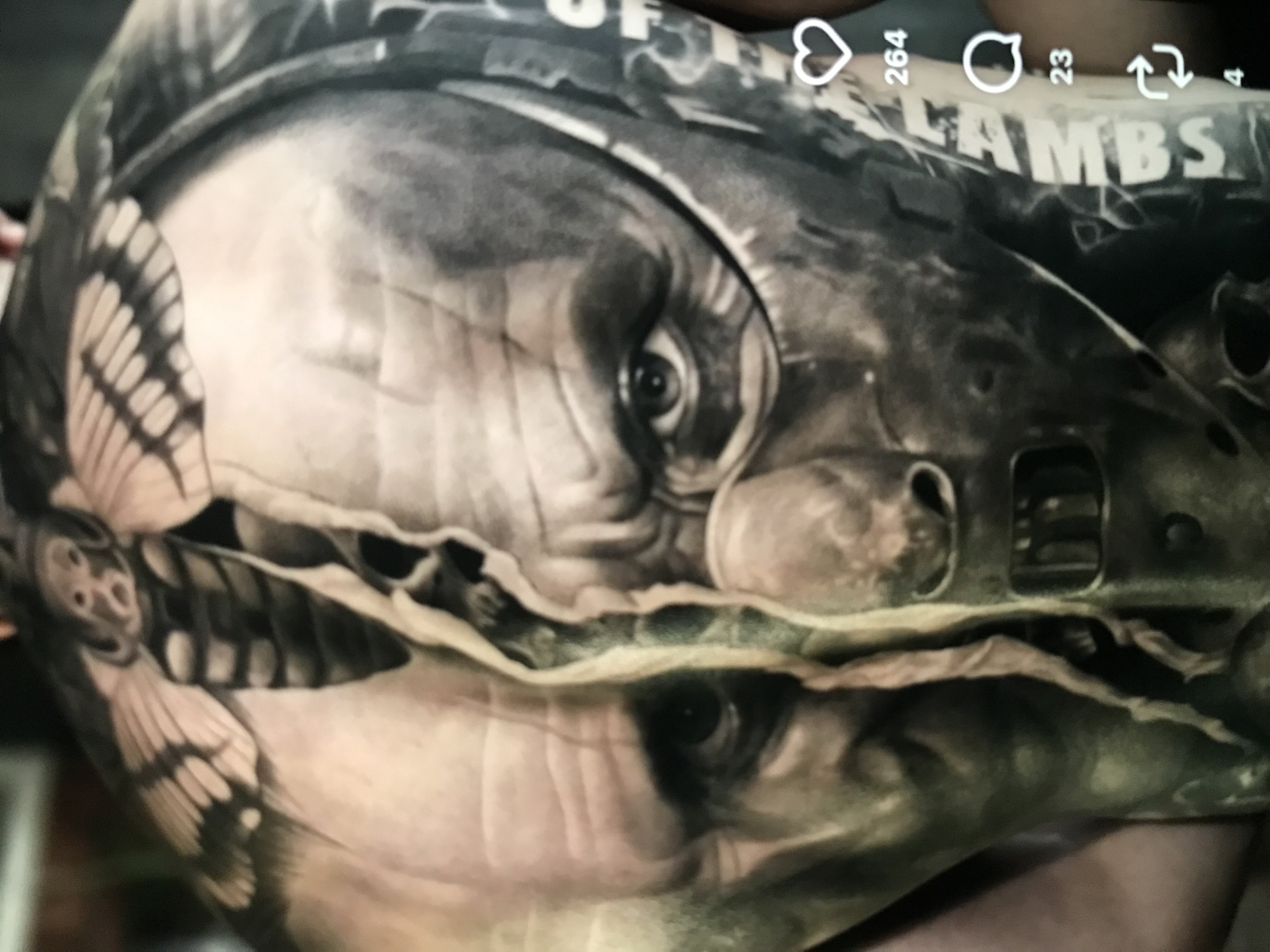 The image shows a black and gray tattoo, possibly on a forearm. The tattoo depicts a face or mask with elements of human and insect features. A butterfly wing is visible on the left side of the face/mask. The text "LAMBS" is partially visible at the top right of the image. Social media icons (heart, comment bubble, arrow) and numbers (264, 23, 4) are overlaid on the top of the image.
The location of Donji Pobori, Montenegro is irrelevant as this image does not depict any information pertaining to that location.
