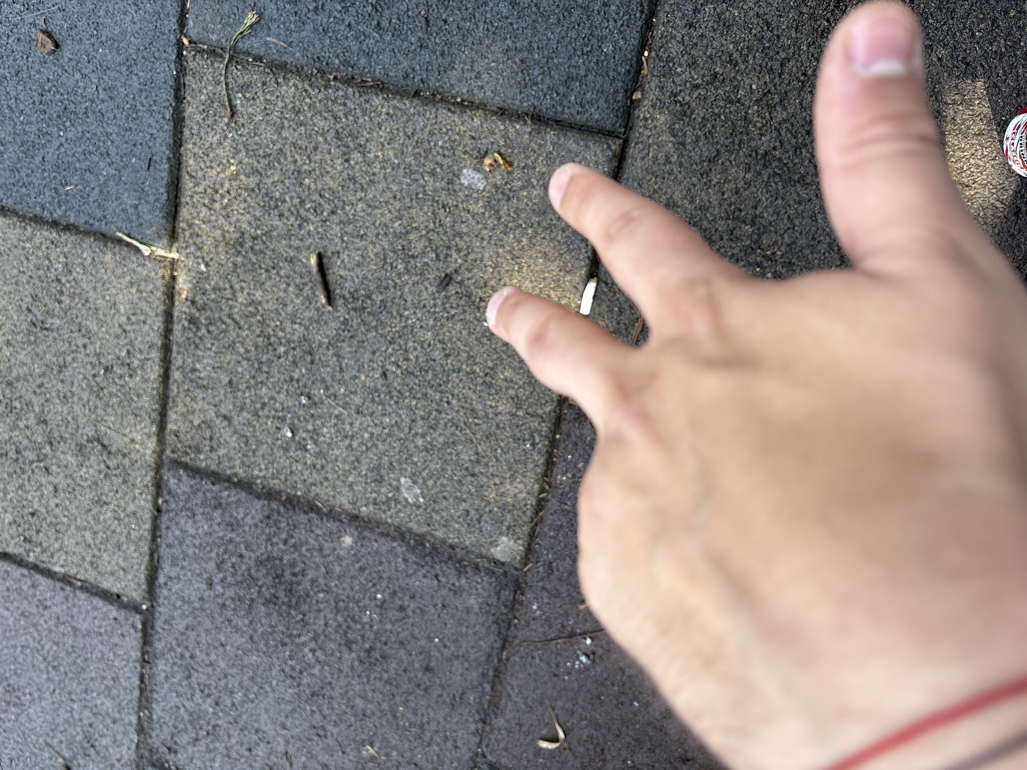 A close-up, high-angle shot captures a person's right hand extending two fingers (index and middle) over a patterned outdoor ground surface in Sofia, Bulgaria. The hand, with light to medium skin tone and wearing a red wristband, occupies the mid-right foreground, creating a sense of interaction with the environment.
The ground is composed of interlocking square tiles of varying shades of grey and dark grey, featuring a coarse, granular texture, possibly indicating rubber safety surfacing or a similar material. Small bits of organic debris like twigs and dried leaves are scattered across the tiles, suggesting an outdoor setting like a park or playground.
In the far right of the frame, partially obscured by the hand, is a red and white bottle cap. Though blurry, indistinct white text is visible on its red background, possibly reading "PERF...", hinting at a beverage brand. The bright, even lighting suggests it is daytime. No specific weather conditions are discernible, but the light implies a clear or partly cloudy sky. The activity of the hand, extended with two fingers, could be a gesture like a peace sign or pointing.