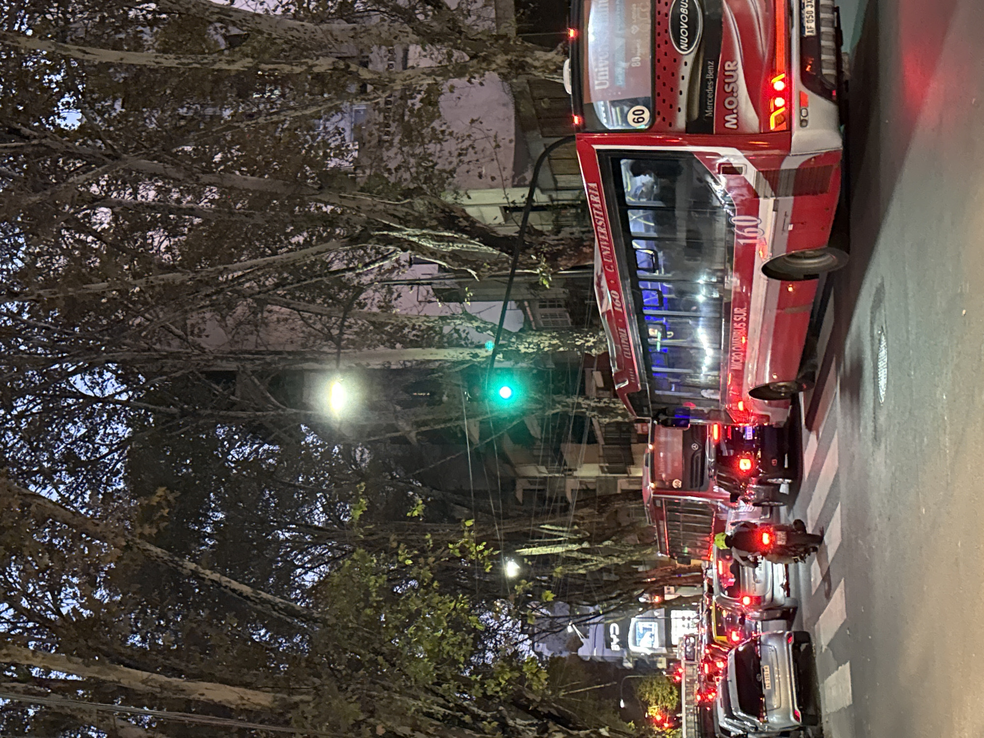 The image shows a street scene in Buenos Aires, Argentina, at dusk or night. The street is congested with traffic, including a red bus with the number 160 prominently displayed, indicating a bus line. The bus has "C.UNIVERSITARIA" written on its side. The bus also indicates "Mercedes-Benz, M.O.SUR". Other vehicles include cars and a motorcycle, all stuck in traffic. A pedestrian crossing is visible, suggesting an intersection. A green traffic light is lit. The street is lined with trees, their branches forming a canopy overhead. Streetlights provide additional illumination. The street is well-maintained with a modern appearance.