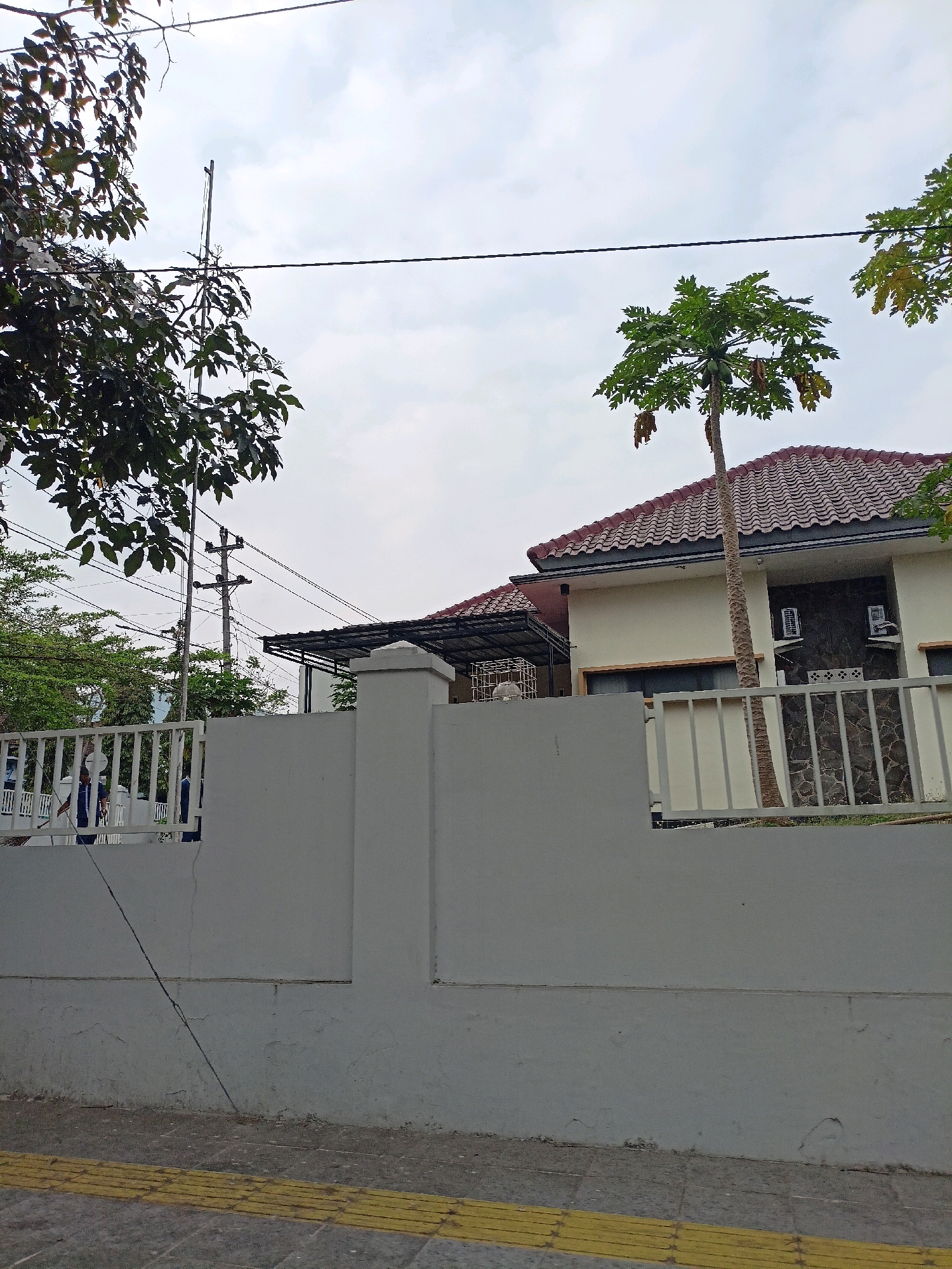 This image captures a scene in Magelang, Indonesia, featuring a modern house behind a grey concrete wall and a white metal fence. A mature papaya tree stands prominently in the foreground, its trunk straight and its canopy full of green leaves and developing fruit. The house itself has a light-colored facade, a tiled red roof, and dark stone accents around some of the windows. Two outdoor air conditioning units are visible on the exterior wall.
To the left of the house, a white metal gate is partially visible, with a few individuals in blue uniforms standing behind it, suggesting a staff presence. Beyond the fence and wall, a power pole with multiple electrical wires crisscrosses the sky, a common sight in urban Indonesian landscapes. Lush green trees with dark foliage are clustered to the left and behind the house, contributing to the tropical environment. The sky is overcast with diffused clouds.
In the foreground, a sidewalk with textured yellow tactile paving for the visually impaired runs along the bottom of the image. The overall impression is one of a well-maintained residential property within a developing urban area of Magelang.