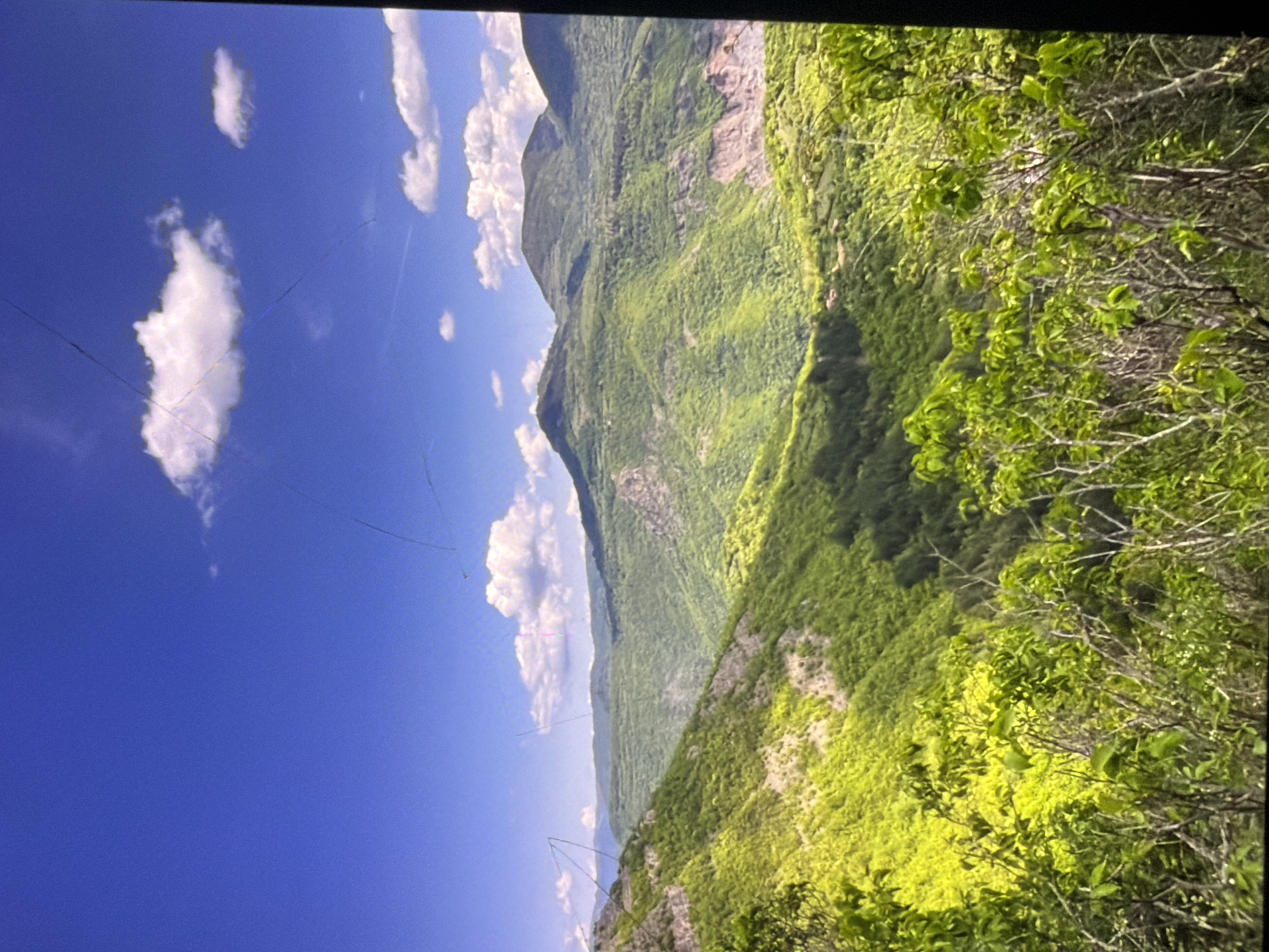 A wide shot captures a vibrant, lush green mountainous landscape under a bright blue sky dotted with white clouds. The foreground features dense foliage with branches and leaves, some appearing almost neon green. Beyond this, rolling hills covered in dense green trees and vegetation descend into valleys. In the distance, several mountain peaks rise, some with rocky, exposed faces suggesting erosion. The sky is clear and expansive, with a few scattered clouds. The overall impression is one of a serene, natural, and untouched wilderness. The image appears to be taken from an elevated vantage point, offering a panoramic view of the terrain. There are no people or man-made structures prominently visible in the scene. The lighting suggests it is daytime, likely a sunny day.