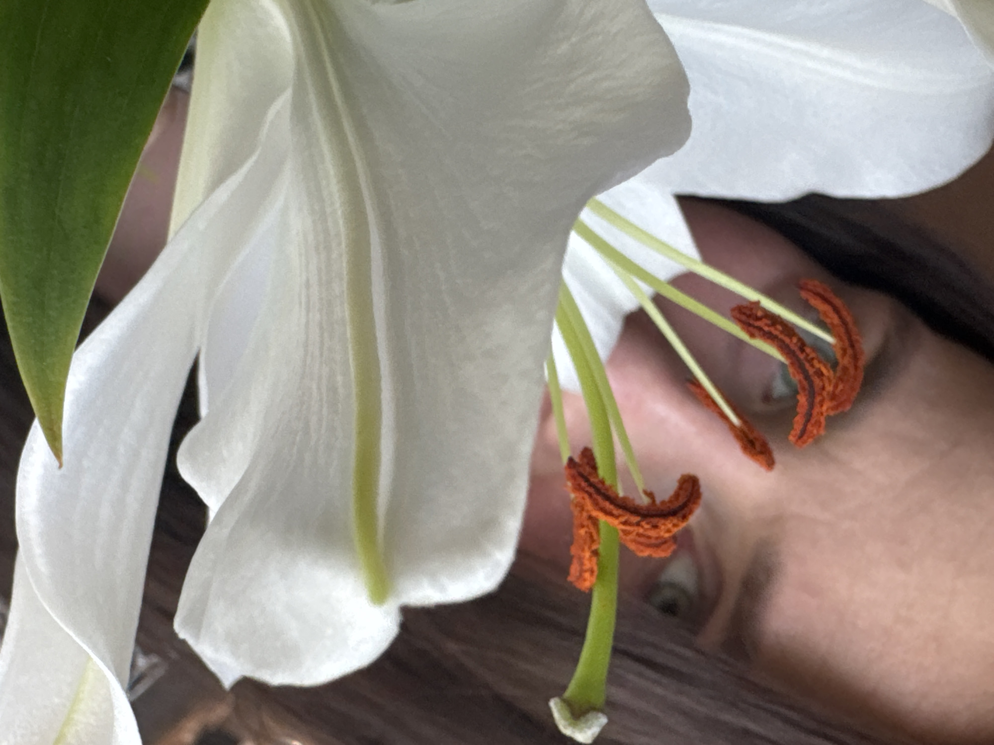 The image shows a close-up of a white lily flower with a woman's face partially visible behind it. The lily's petals are large and white, with prominent green stems and orange-brown stamens. The woman's face is partially obscured by the flower, but her eye and skin are visible. Her hair is brown. The overall impression is intimate and focuses on the interplay between the flower's beauty and the woman's presence. The image does not depict the location in the city of Rusalevka, Russia.