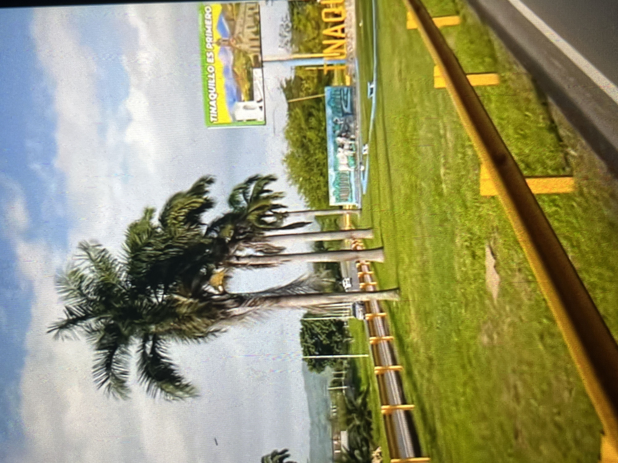 The image shows a roadside scene in Tinaquillo, Venezuela. On the left are several tall palm trees set against a backdrop of a blue sky with scattered clouds. The roadside area includes a grassy field, a yellow guardrail, and a paved road edge on the right. In the background, there are signs indicating "TINAQUILLO ES PRIMERO" and "TINAQUILLO." Other indistinct background elements may include some trees. No people are apparent in the image.