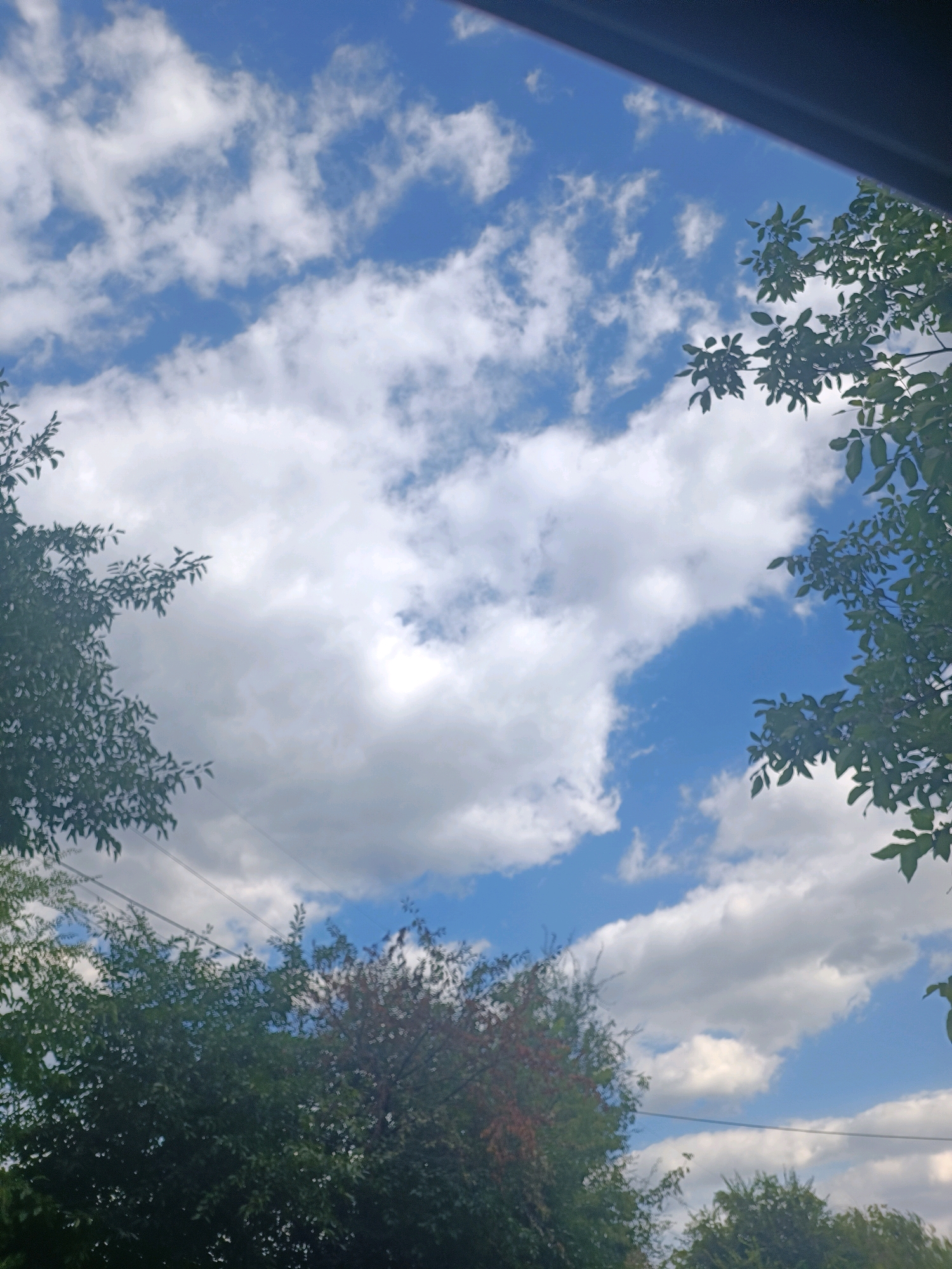 The image depicts a view of the sky from beneath a canopy of trees, with foliage in the foreground and along the edges of the frame. The sky is a vibrant blue, dotted with scattered white clouds. Power lines are visible as thin dark lines stretching horizontally across the mid-ground. The scene appears to be outdoors in an urban or suburban environment. The exact location within the city of Zaporizhzhia, Ukraine, cannot be determined from the visual information provided.
