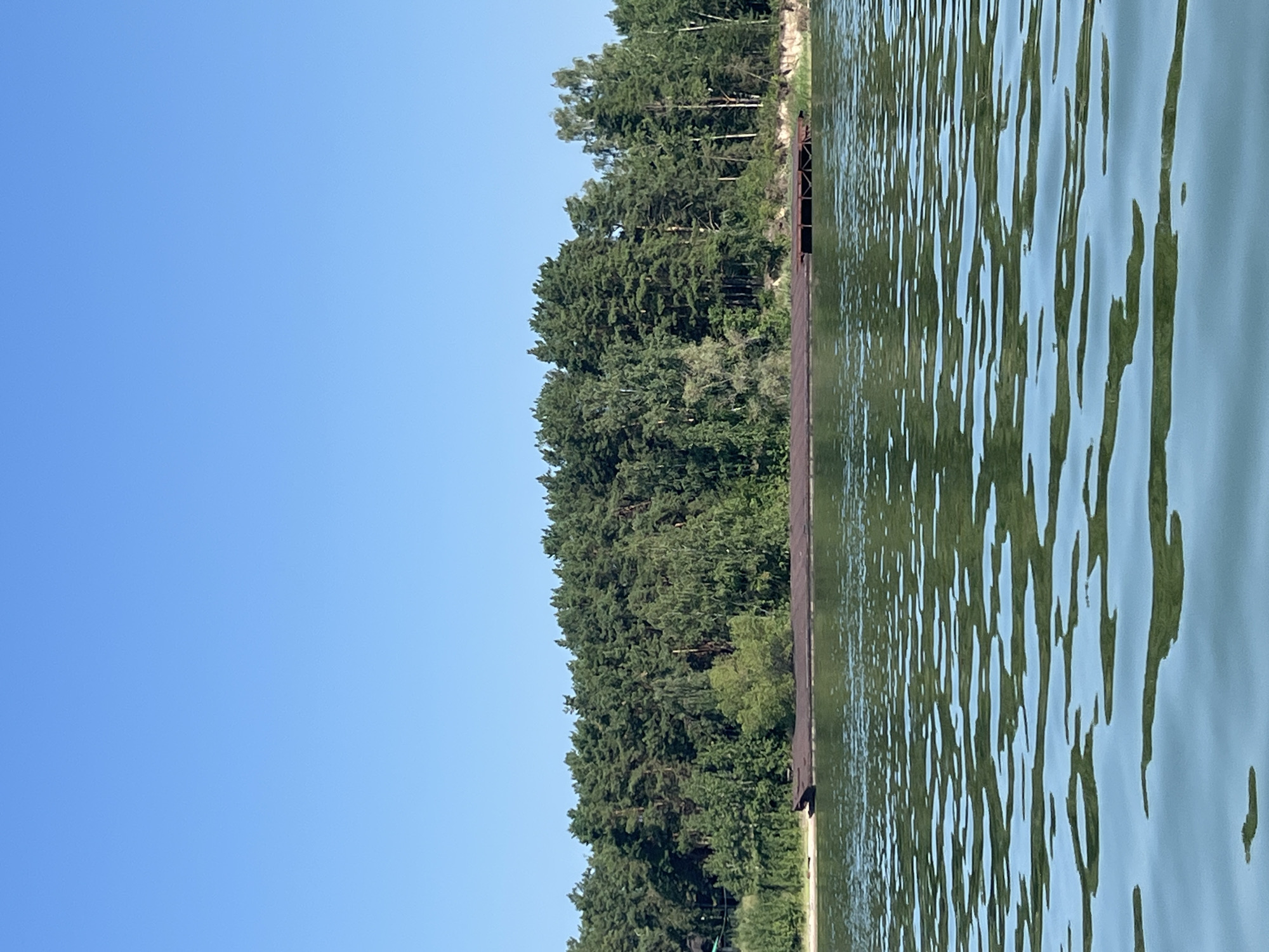 A wide, clear blue sky dominates the upper portion of the image. Below the sky, a dense line of green trees forms a natural border along the horizon, with a sandy shore visible in front of the trees. In the foreground, a calm body of water reflects the greenery from the trees and the blue of the sky, creating abstract patterns of light and shadow on its surface. A long, flat barge, dark in color and partly submerged, is moored near the shore, with a wooden deck structure attached to its right side. The scene is tranquil and appears to be a natural landscape, possibly along a river or lake. The location is not Borovoe, Russia.