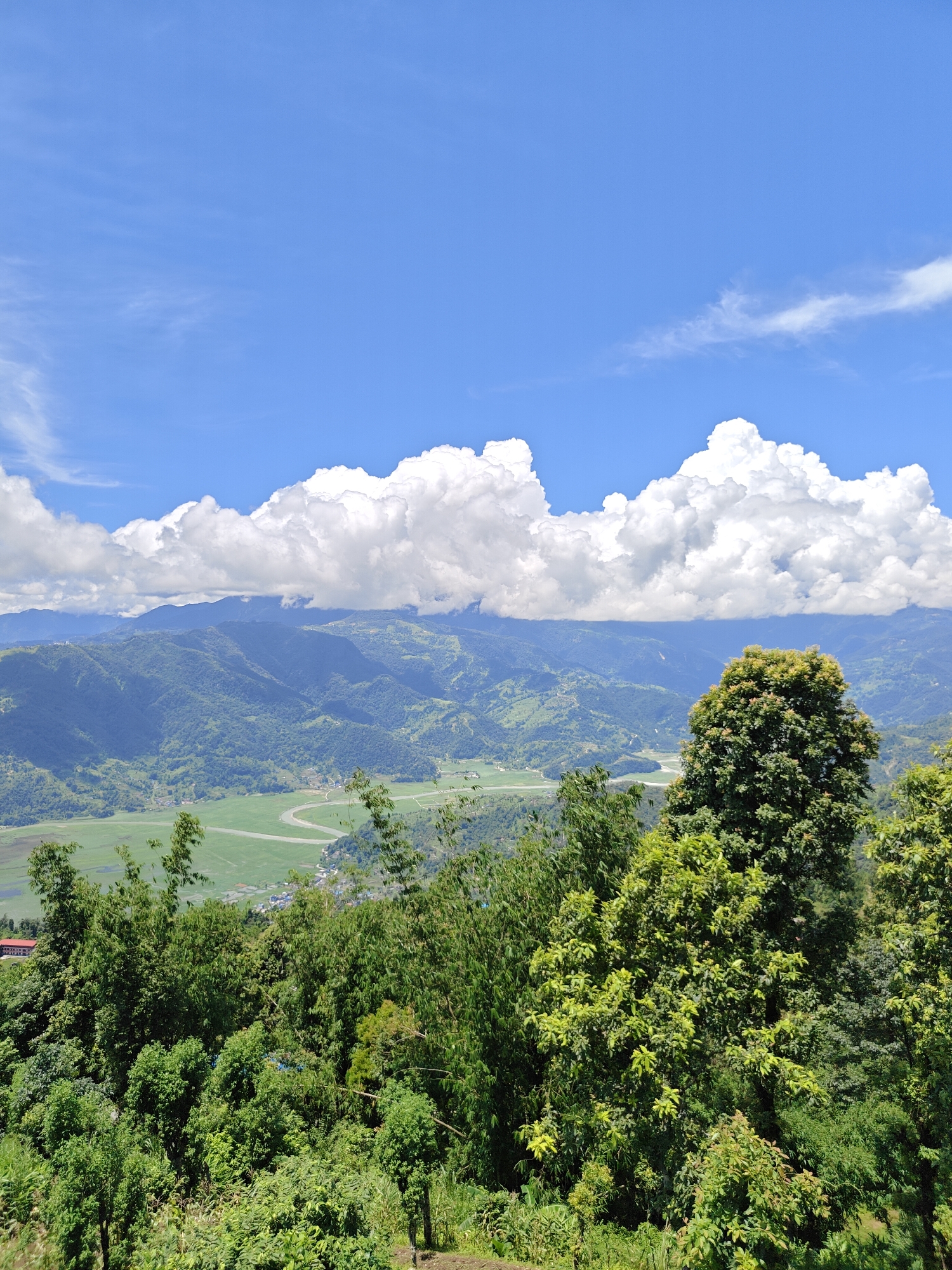 A panoramic view from a vantage point above Pokhara, Nepal, showcases the lush valley and surrounding mountains under a bright blue sky dotted with fluffy white clouds. In the foreground, dense green foliage and bamboo stalks create a natural frame, partially obscuring the view of the valley below. The valley itself is a patchwork of vibrant green fields, possibly agricultural land, with a winding river or stream snaking through its center. Distant mountains, covered in verdant vegetation, rise majestically in the background, their slopes sculpted by time and weather. A few buildings are visible scattered throughout the valley, suggesting human settlement. The overall impression is one of serene natural beauty and tranquility, typical of the Pokhara region.