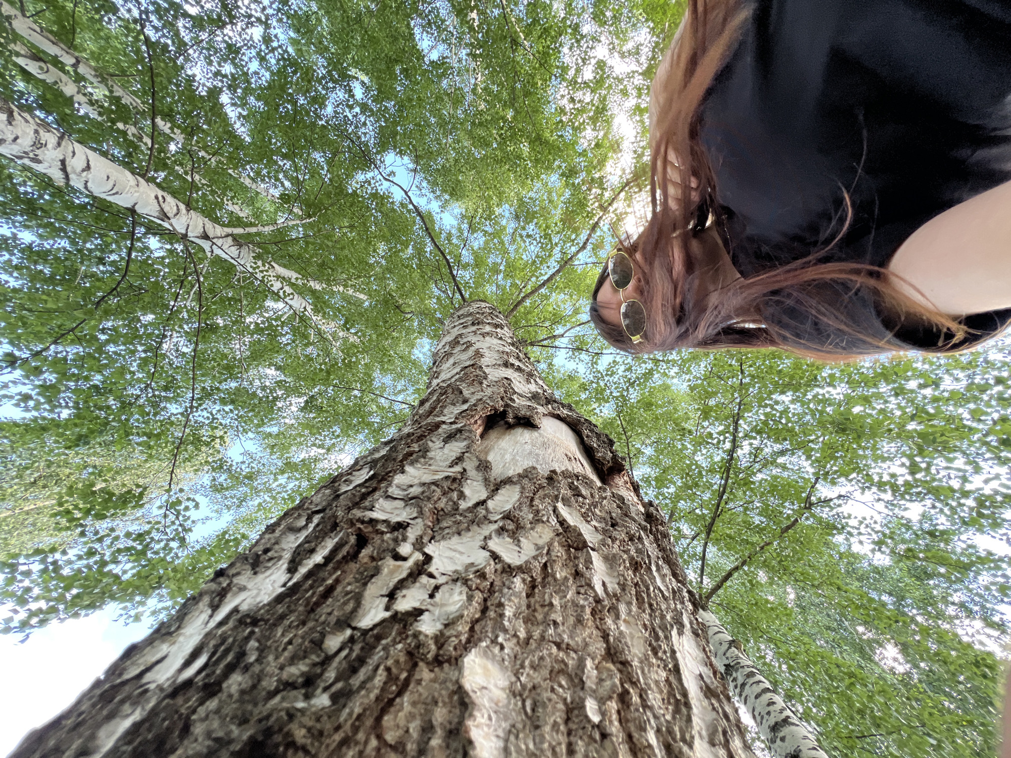 The image is a low-angle, wide-shot photograph taken from the ground looking up towards a birch tree and the sky. A person with long, brown hair and sunglasses is partially visible in the lower right quadrant of the frame, their face obscured by their hair. They are wearing a black shirt. The birch tree's trunk is prominently featured on the left, its bark a textured mix of grey, white, and brown. The branches and bright green leaves of the tree extend upwards, creating a canopy against a light blue sky. The lighting suggests it is daytime, possibly a sunny day due to the bright foliage and sky. There is no specific visual information within the image that allows for the determination of the location as Noviy, Russia.