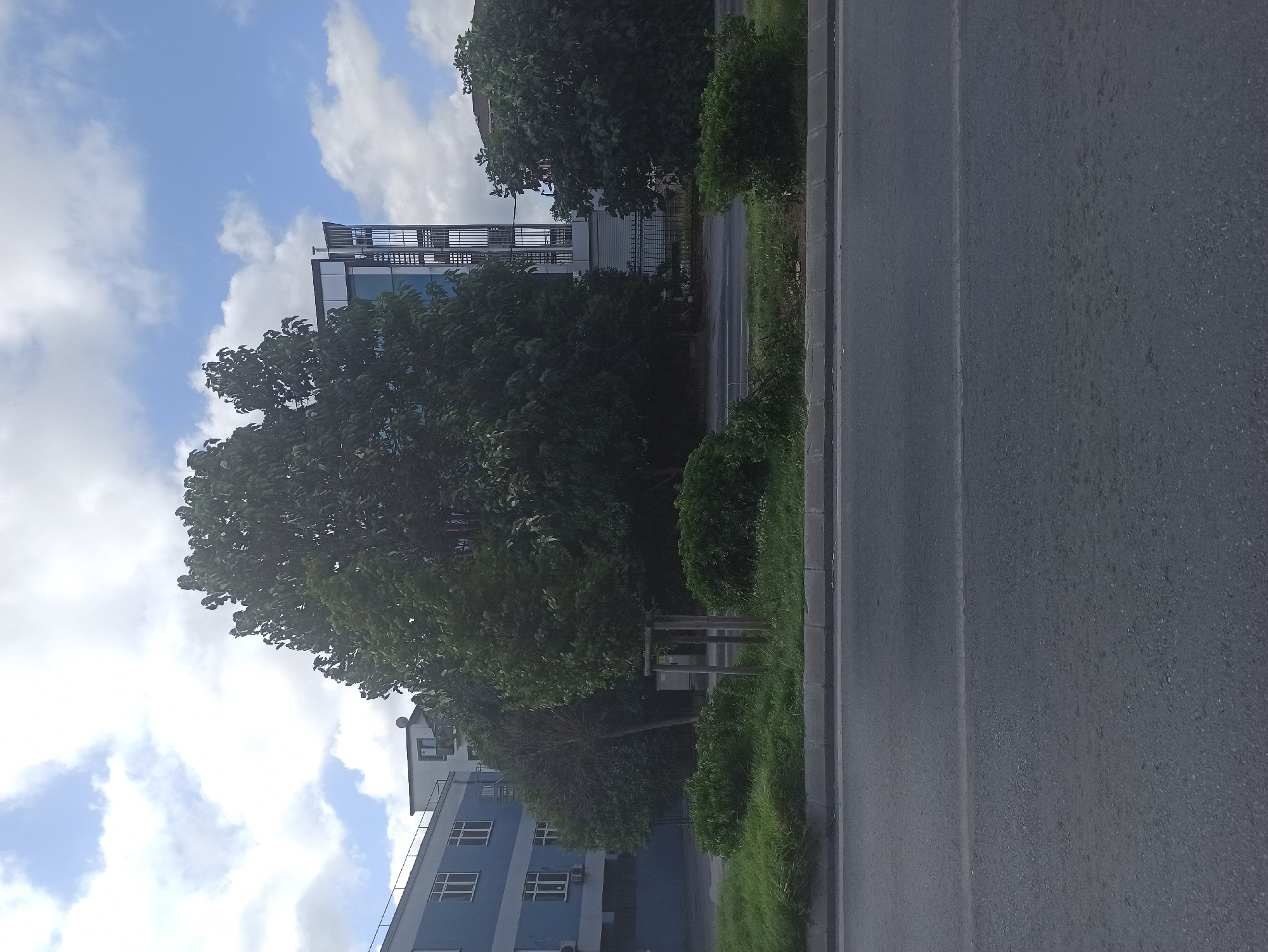 The image shows a street scene in Ümraniye, Turkey, with a building and trees in the background. A two-lane asphalt road occupies the foreground. A concrete curb separates the road from a strip of green grass, bushes, and trees. Behind the greenery, a blue building with white-framed windows is visible on the left. To the right of the blue building, a modern building with glass panels and an external metal staircase stands out. Large trees with dark green foliage are positioned in front of these buildings, partially obscuring them. The sky above is partly cloudy with patches of blue.