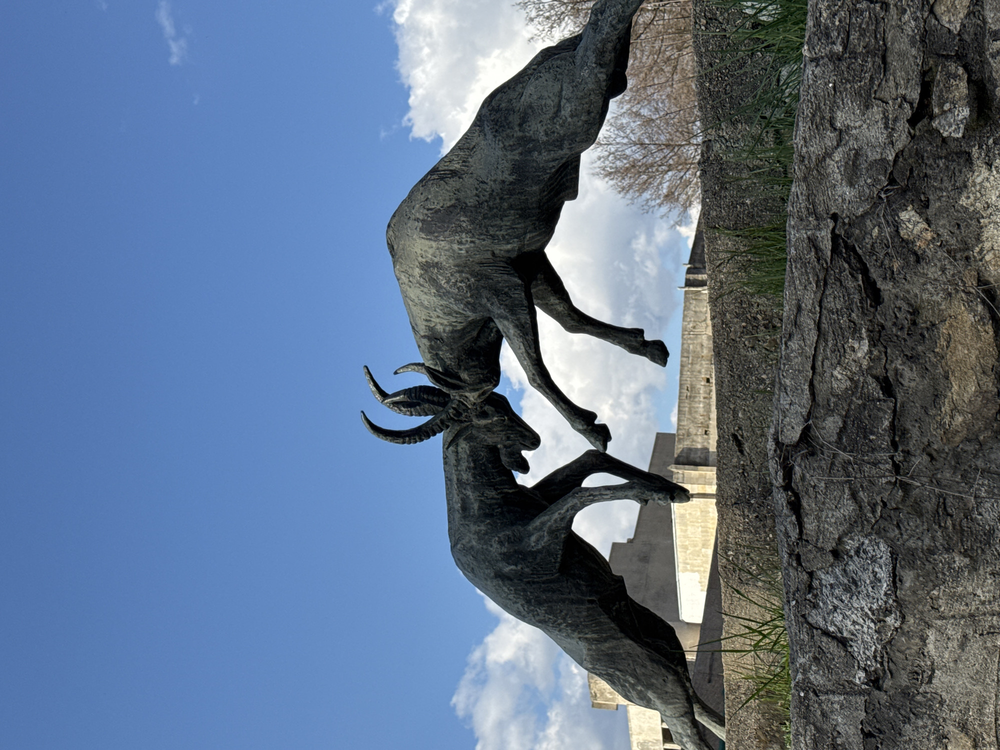 The image shows a bronze monument depicting two mountain goats butting heads. The monument is positioned atop a rough stone base, with grass growing around the base. Behind the monument, there is a building with a simple architectural design and a blue sky with white clouds. The monument is located in the town of Rudozem, Bulgaria.
